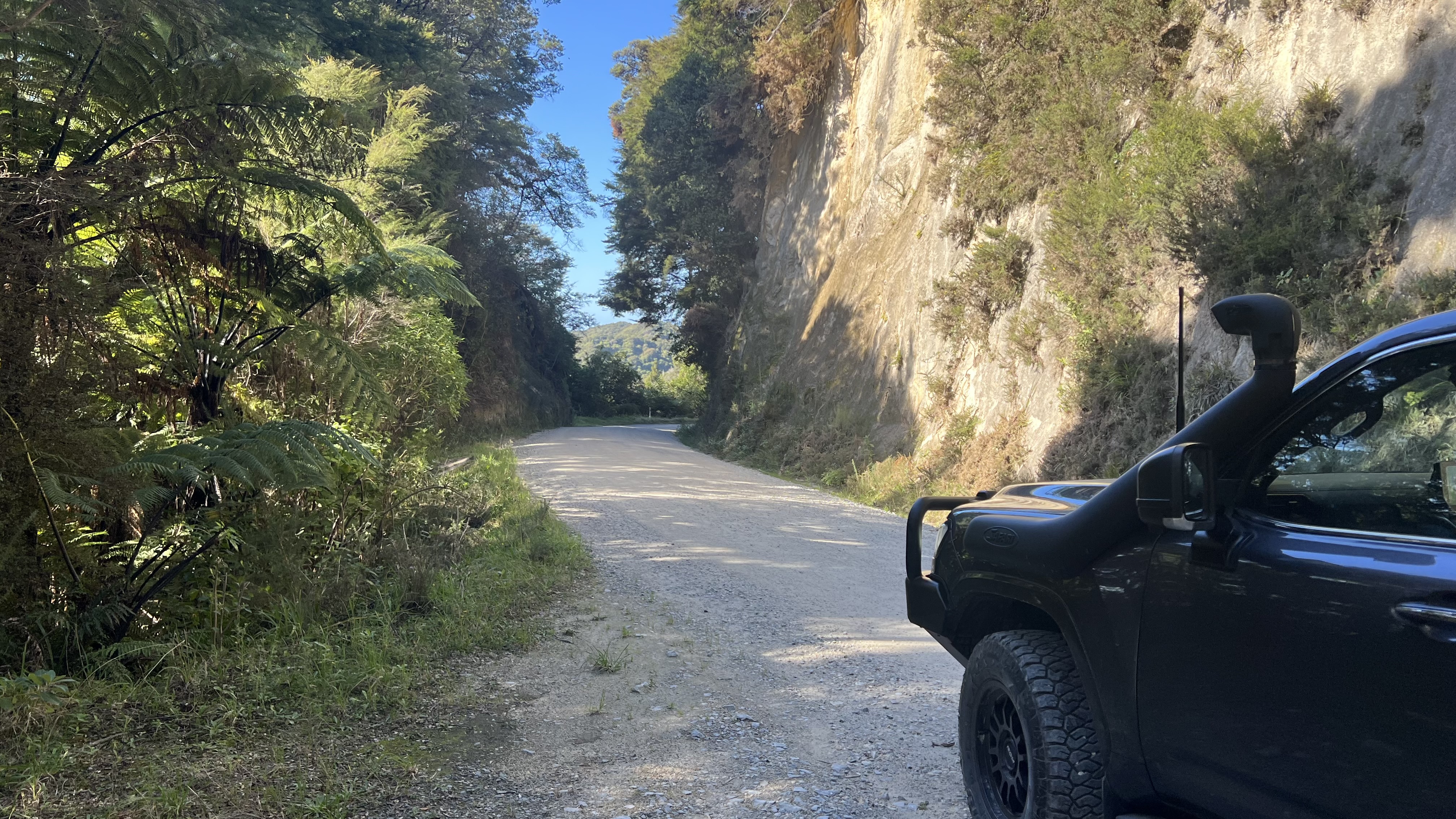 Totaranui Road image 1