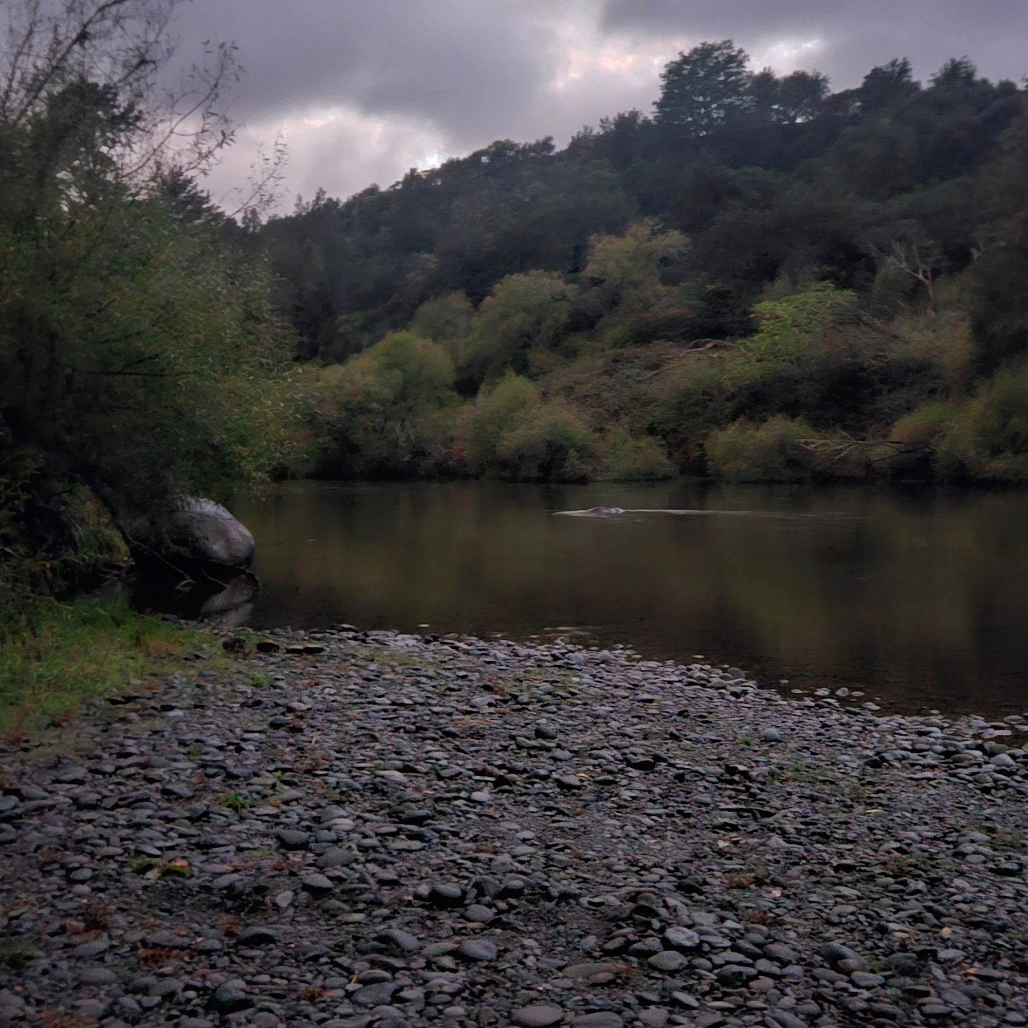 Ohinepane Campsite image 1