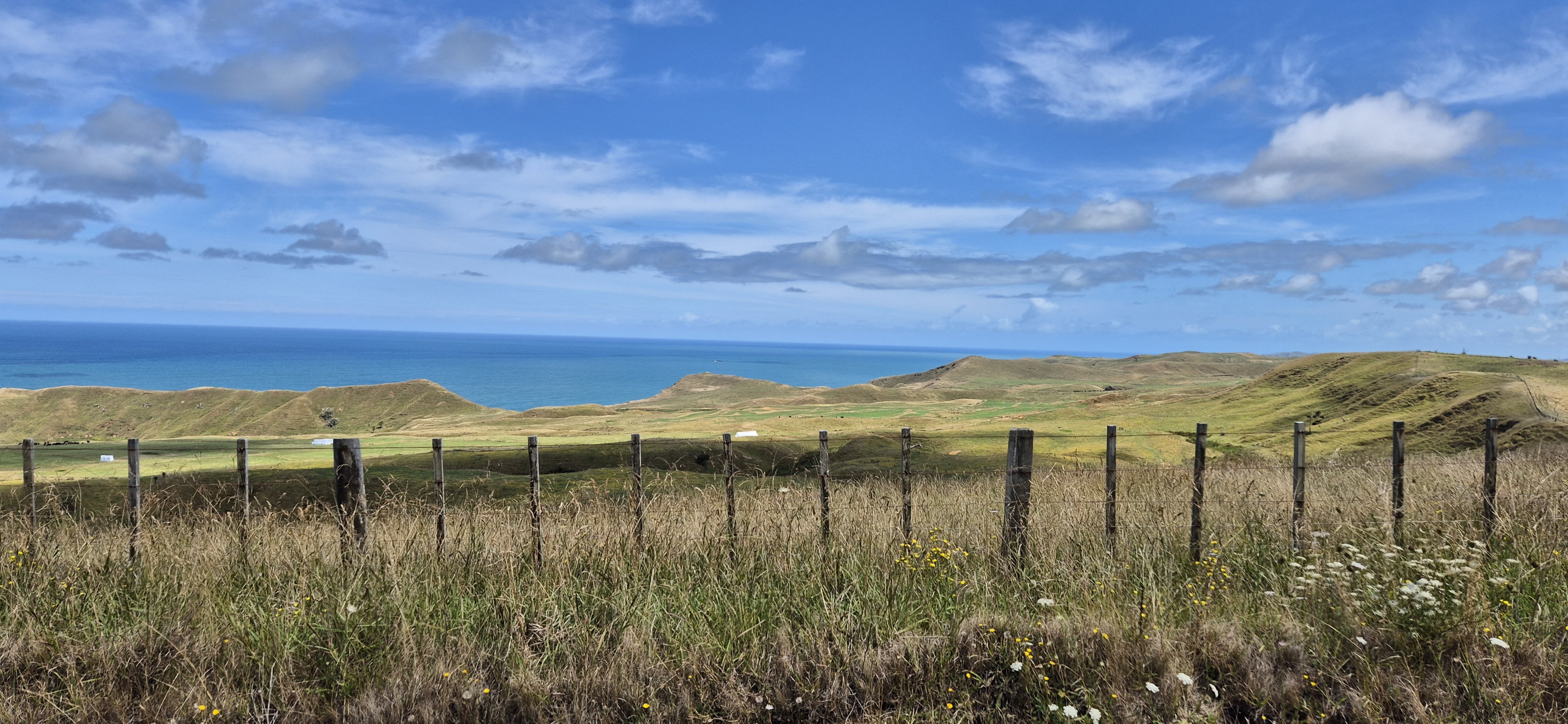 Waikaretu Road image 8