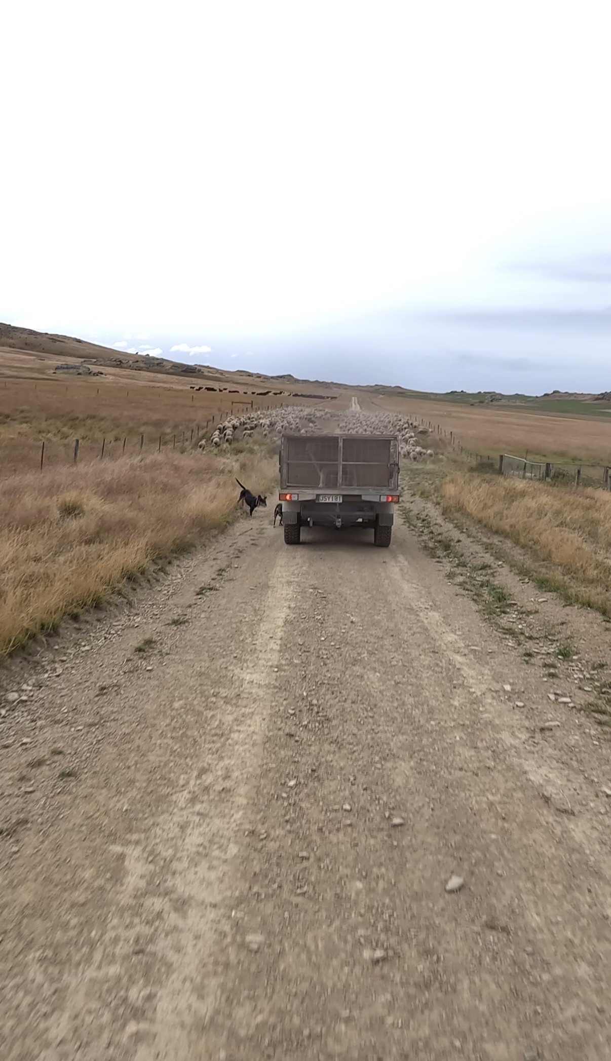 Old Dunstan Road (Southern section) image 6