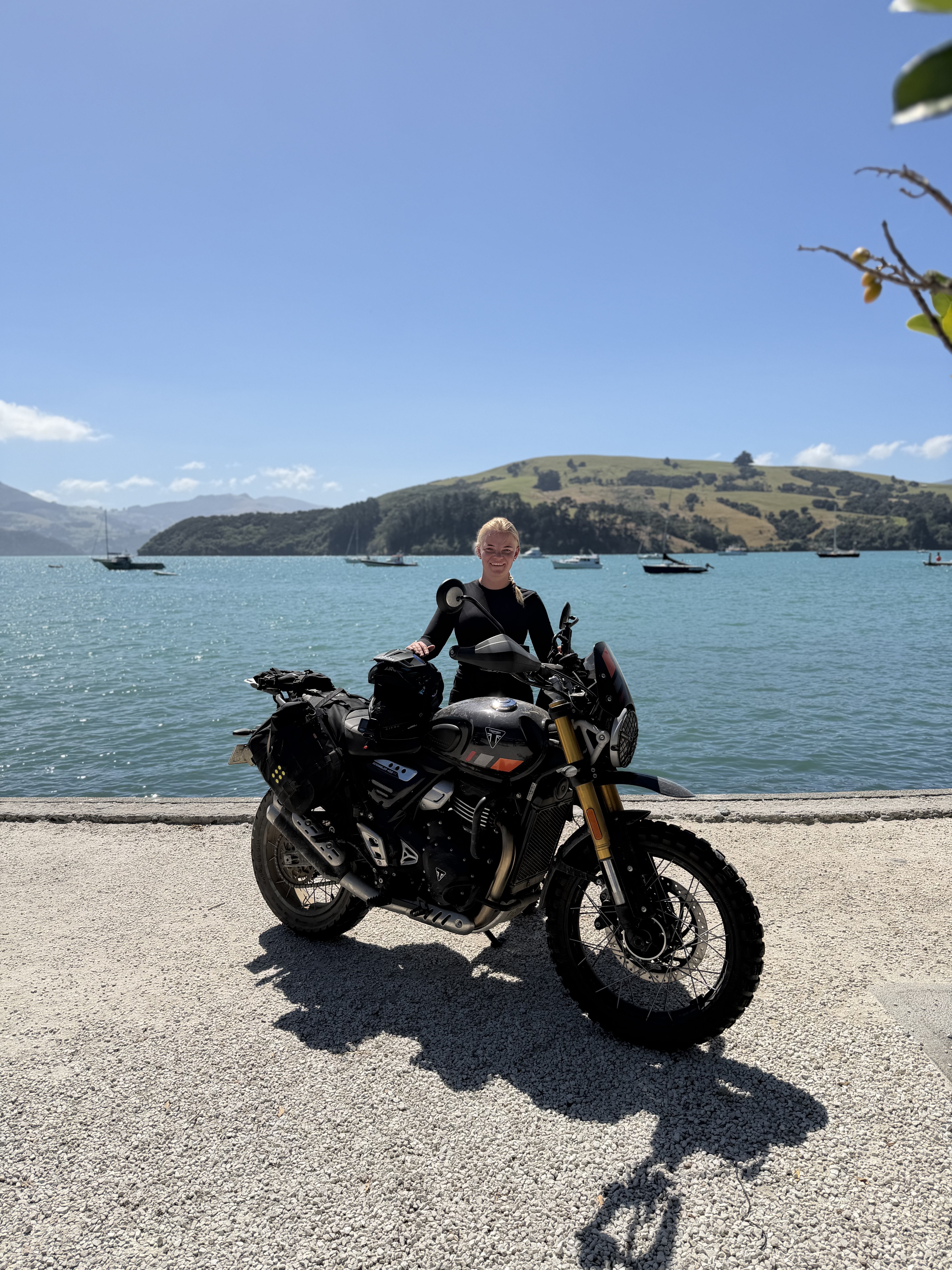 Akaroa Loop image 6