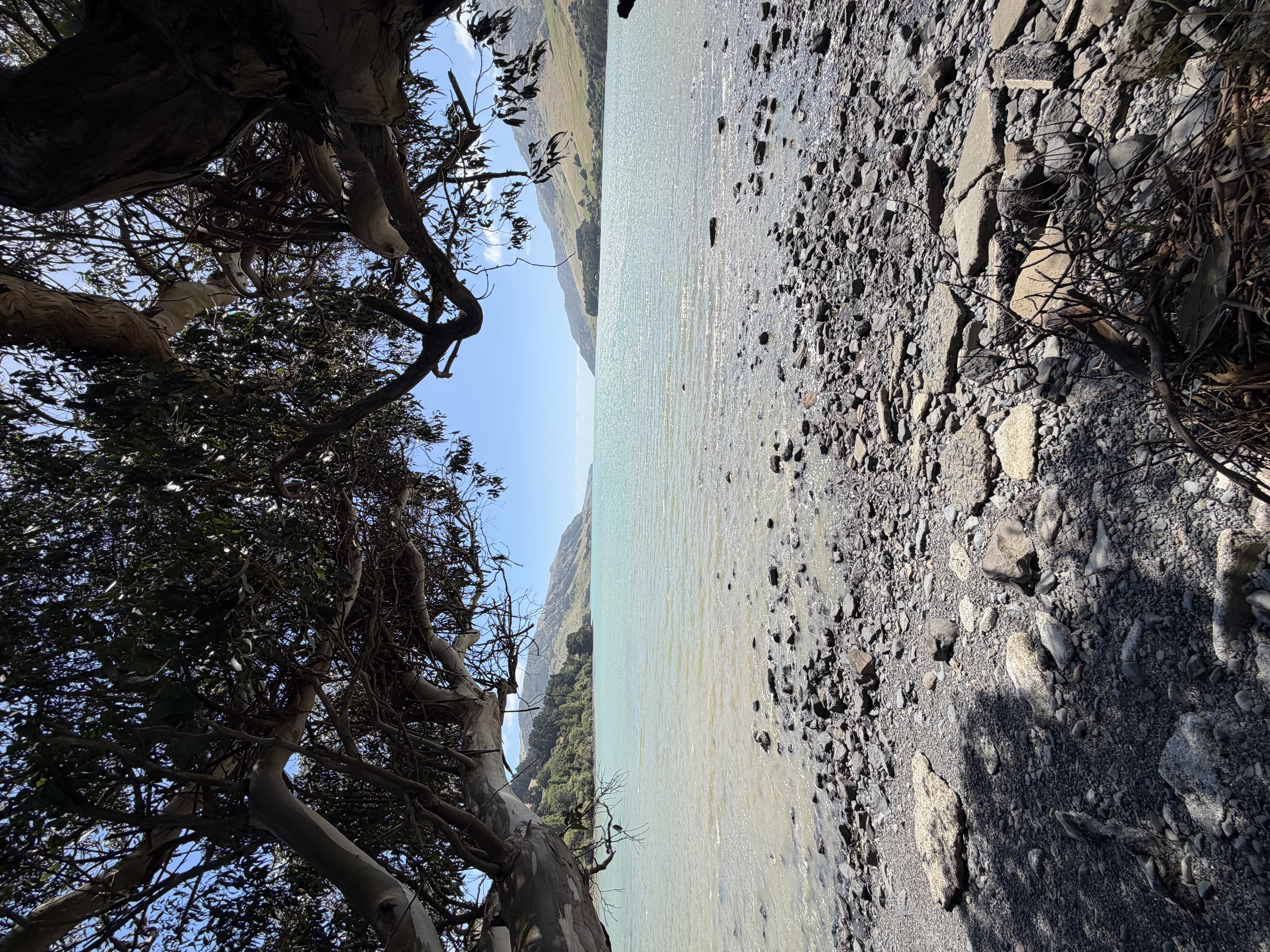 Akaroa Loop image 7