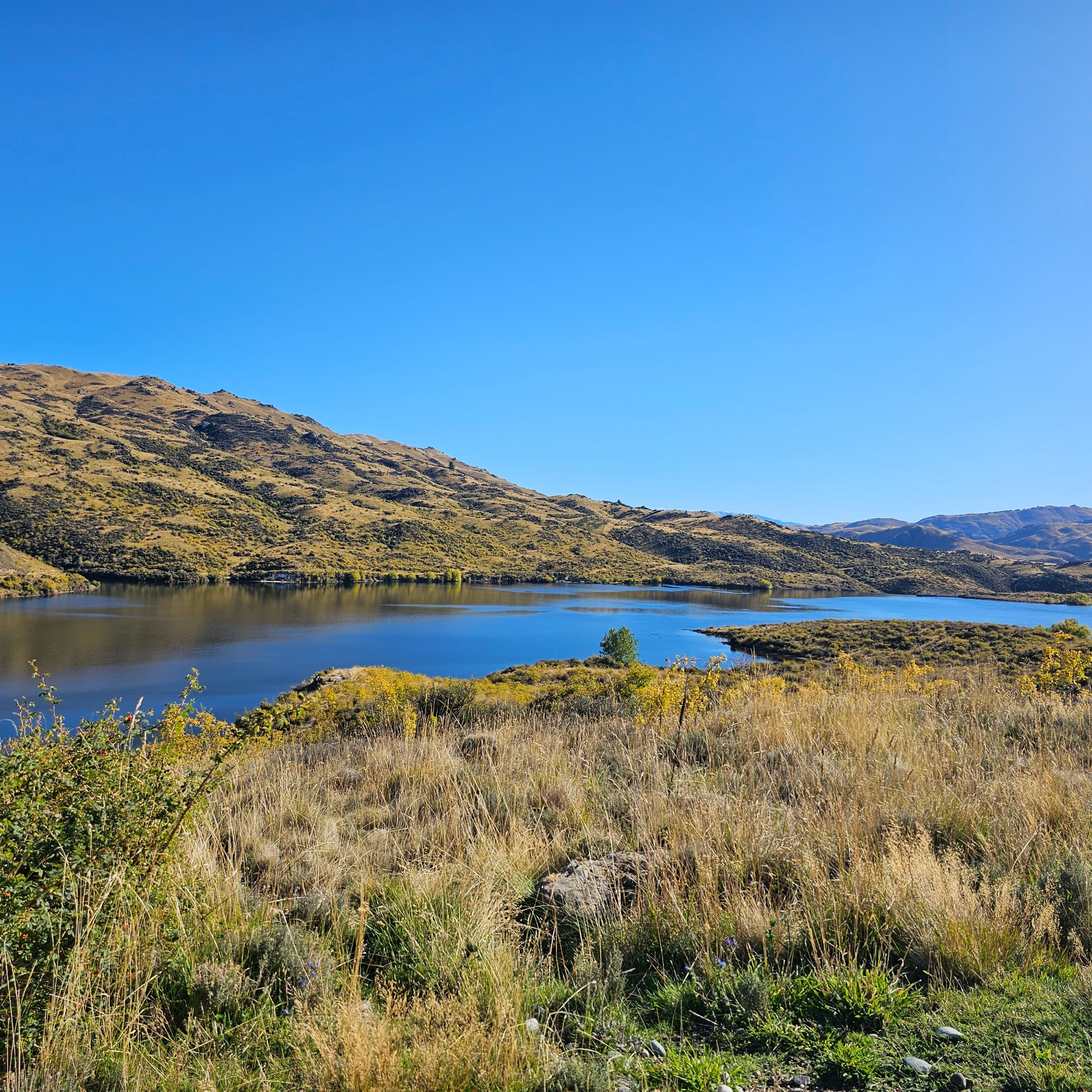 Fraser Dam image 6