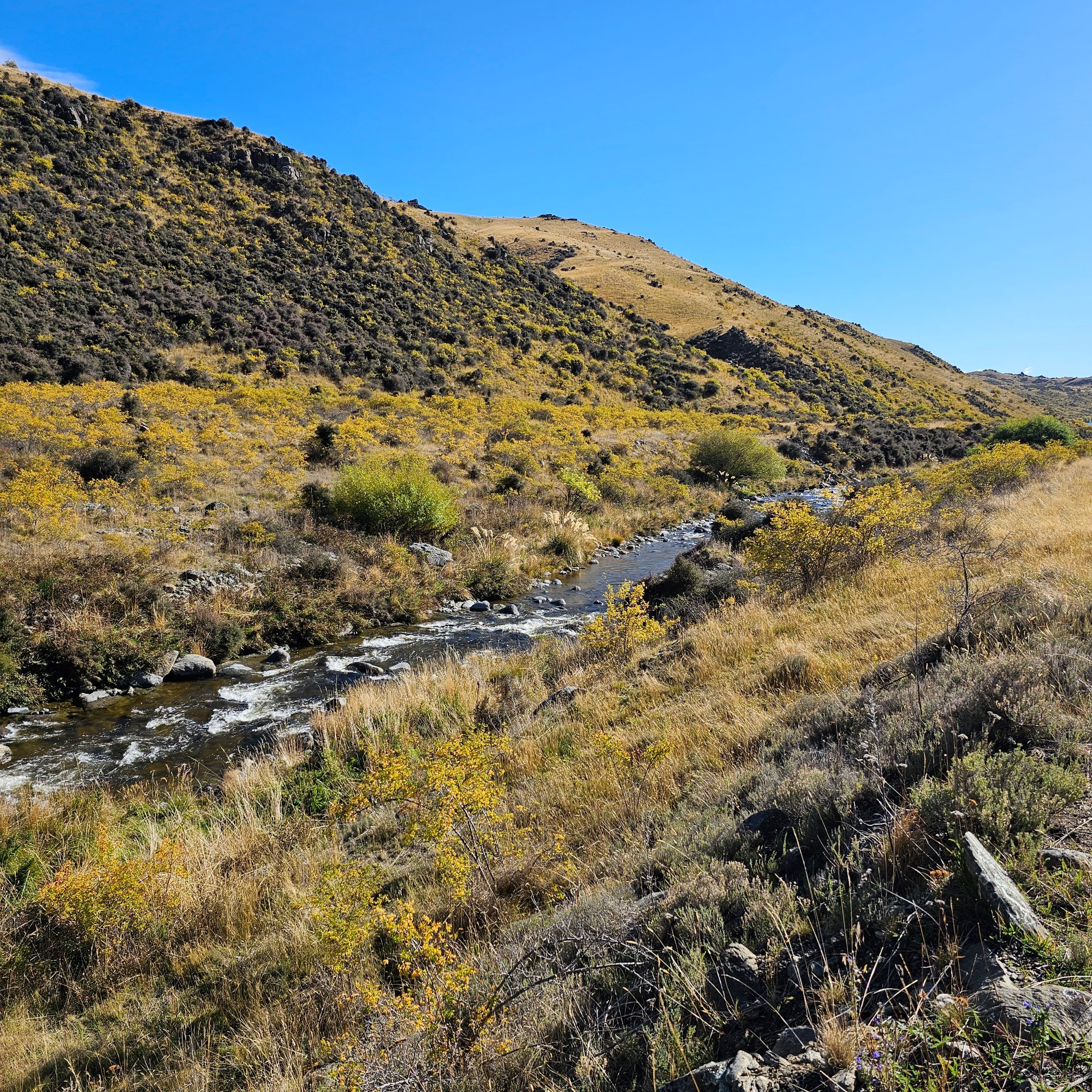 Fraser Dam image 7