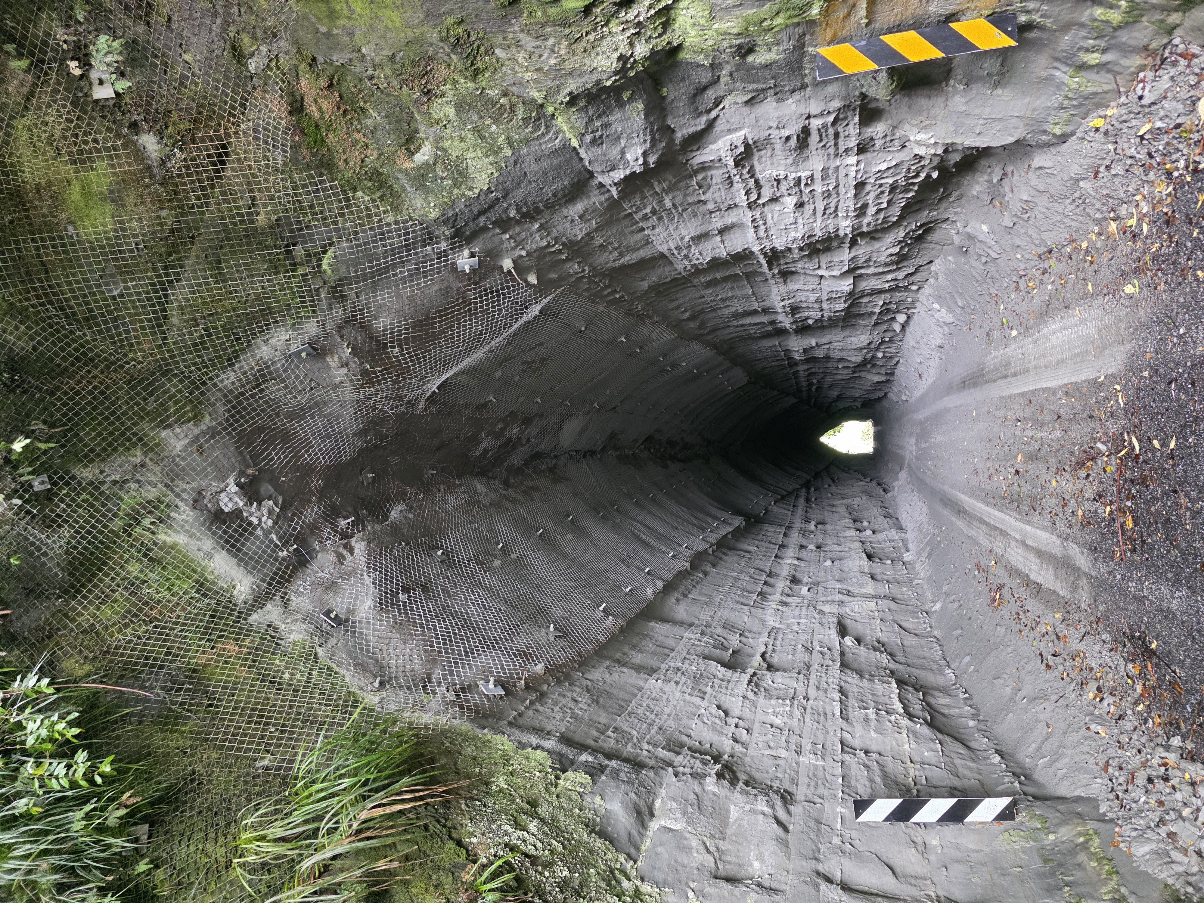 Kiwi Road image 6