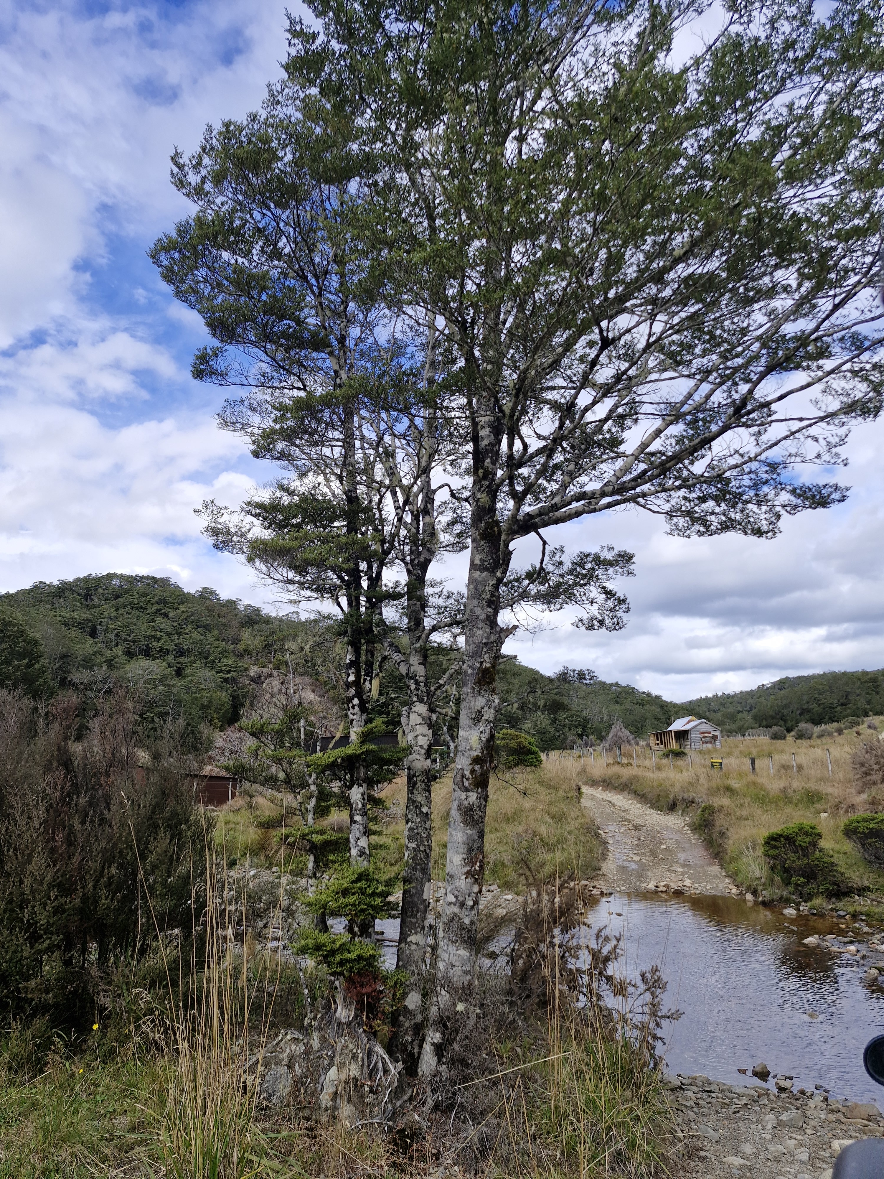Big River image 5