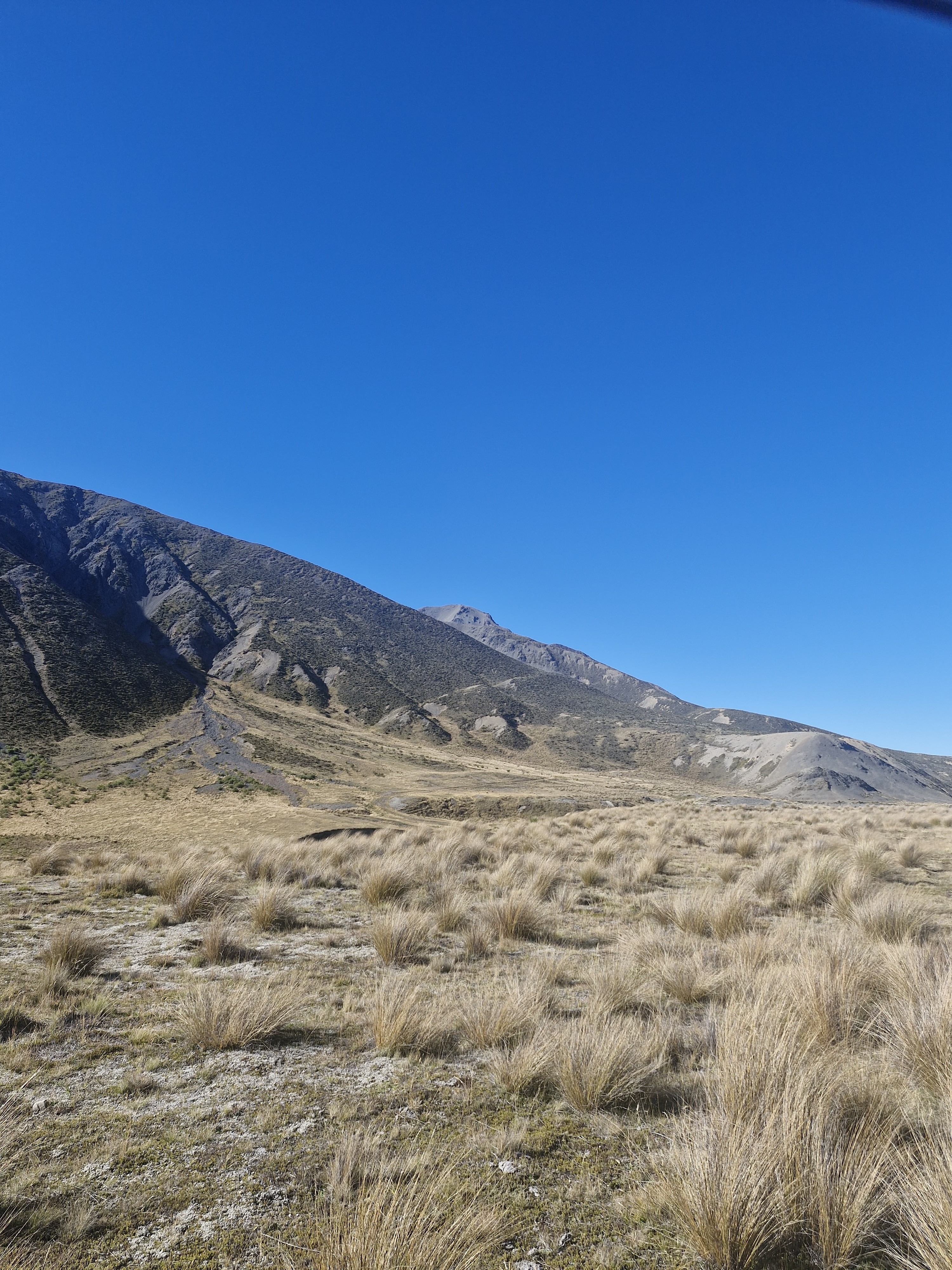 Island Gully Hut Access image 4