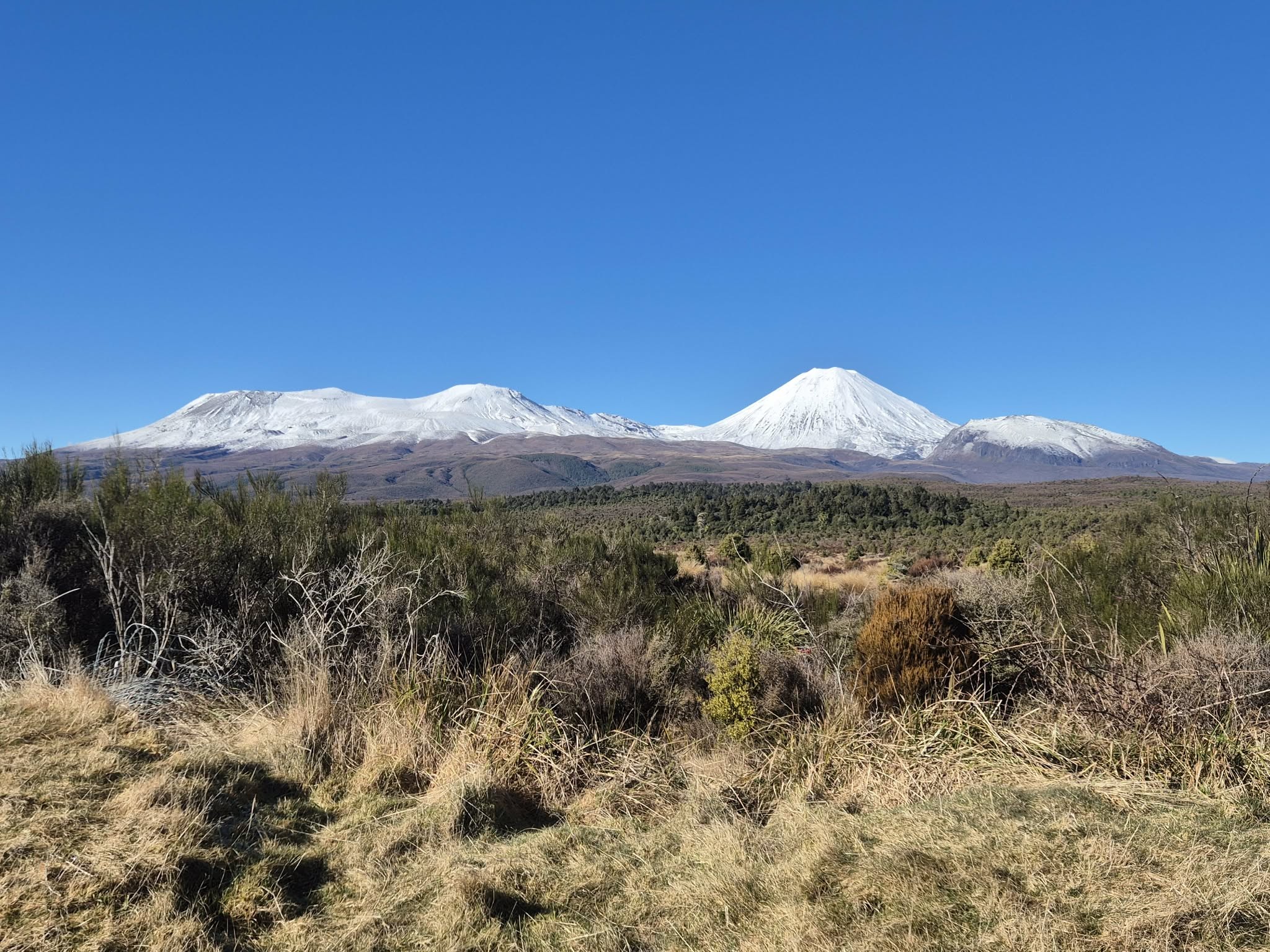 Pokaka Mill Campsite Road image 1