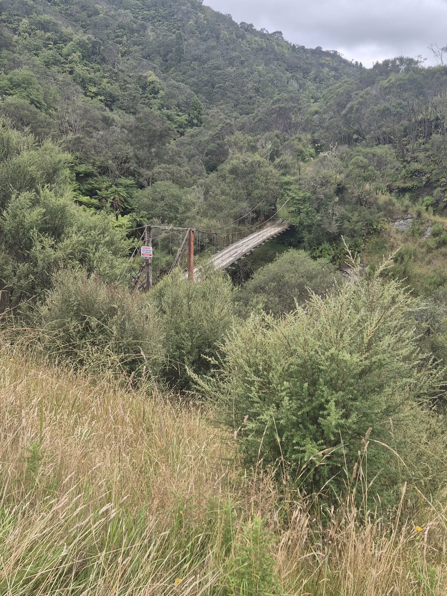 Whangamomona Road image 3
