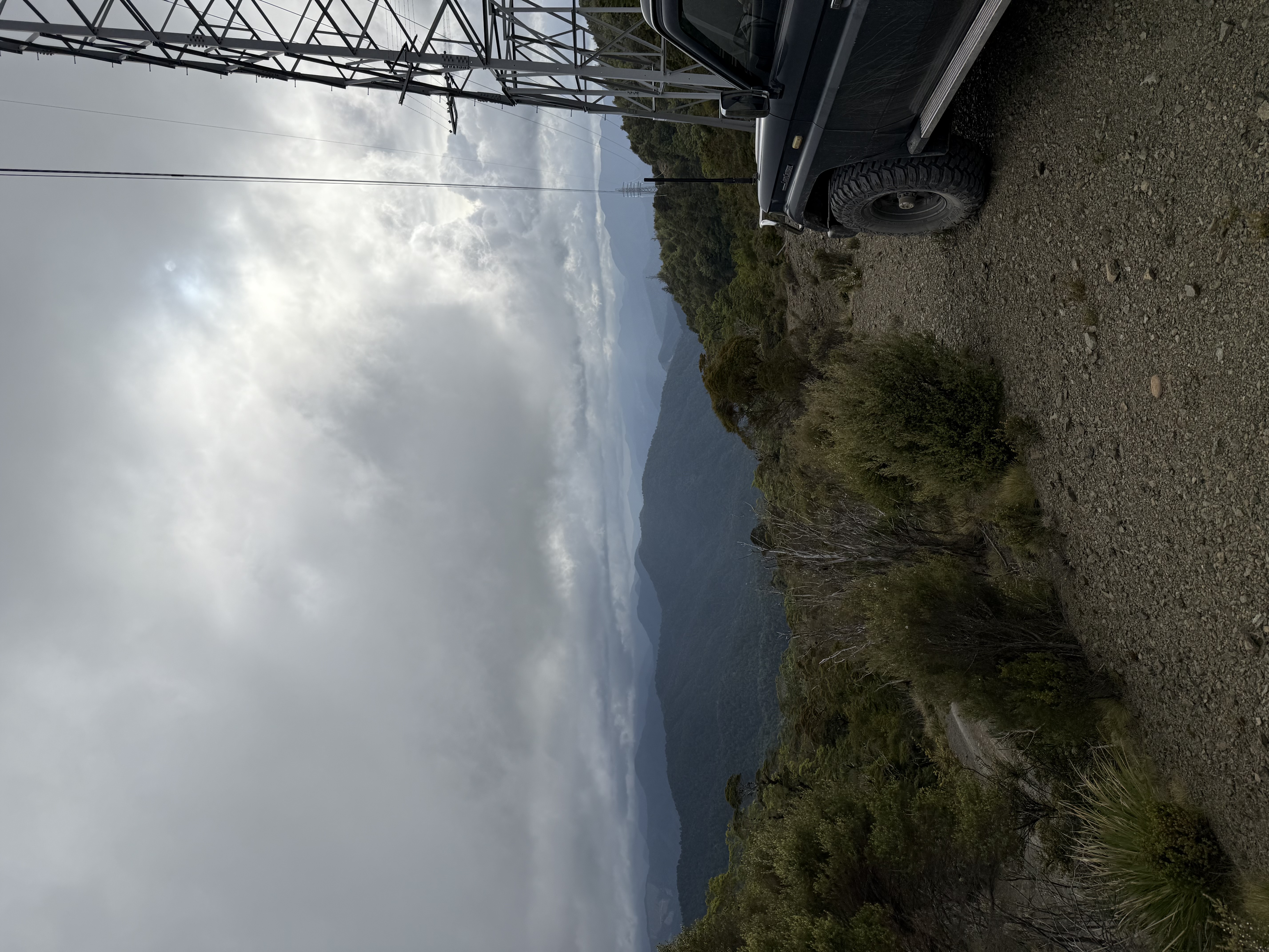 Maungatapu Track image 3