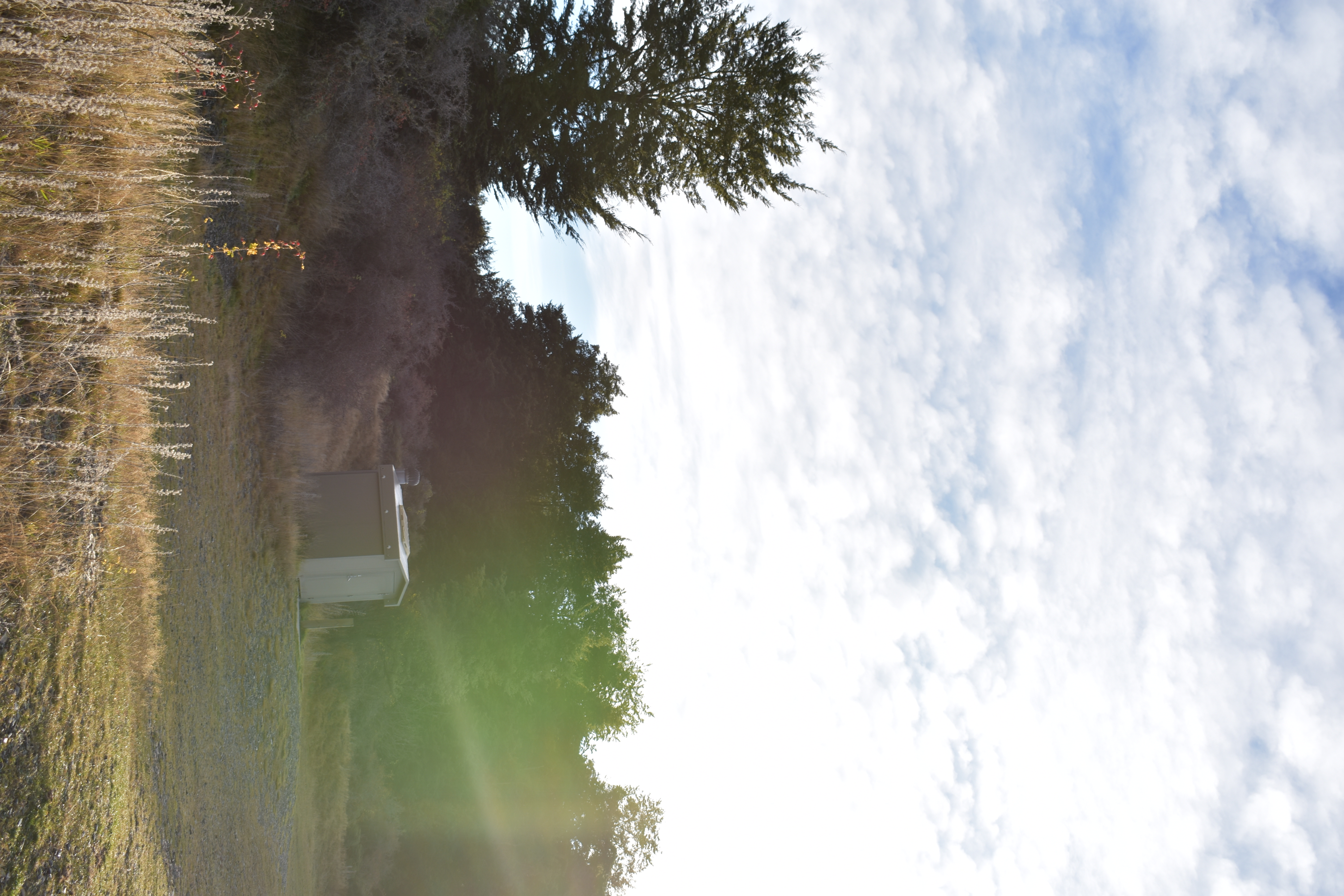 Round Bush Campsite image 3