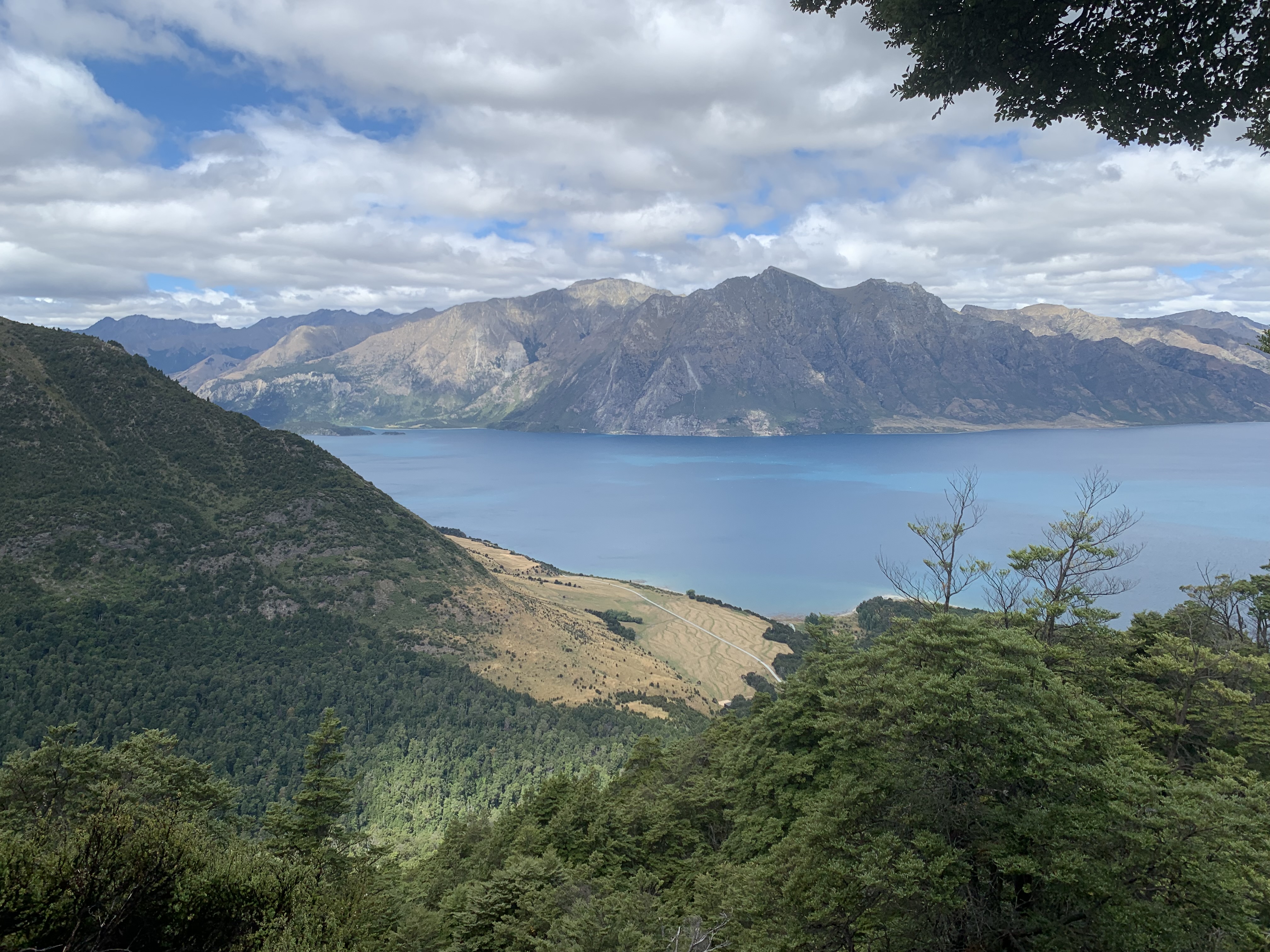 Kidds Bush Reserve Campsite image 3
