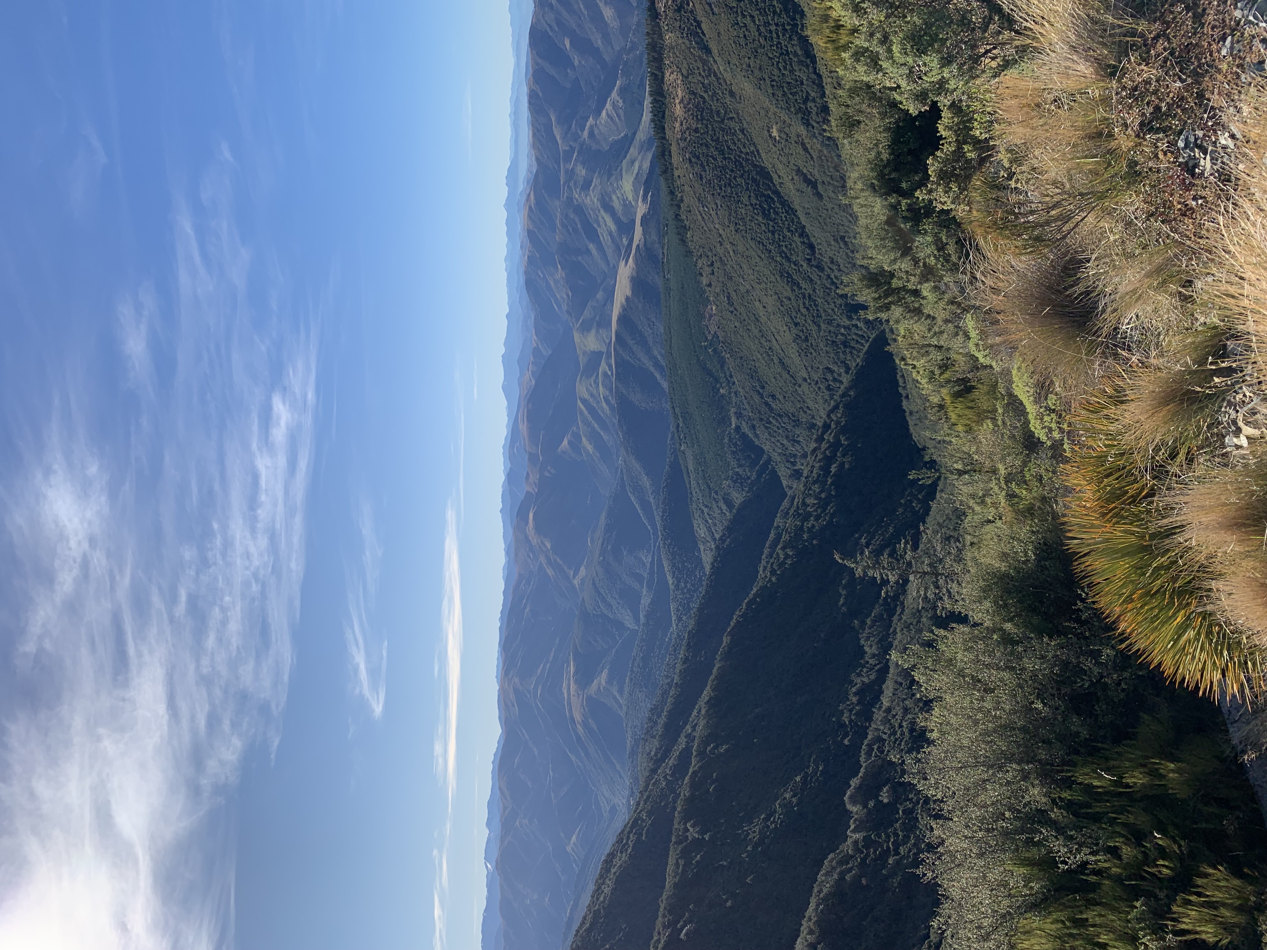 Wooded Gully Campsite image 1