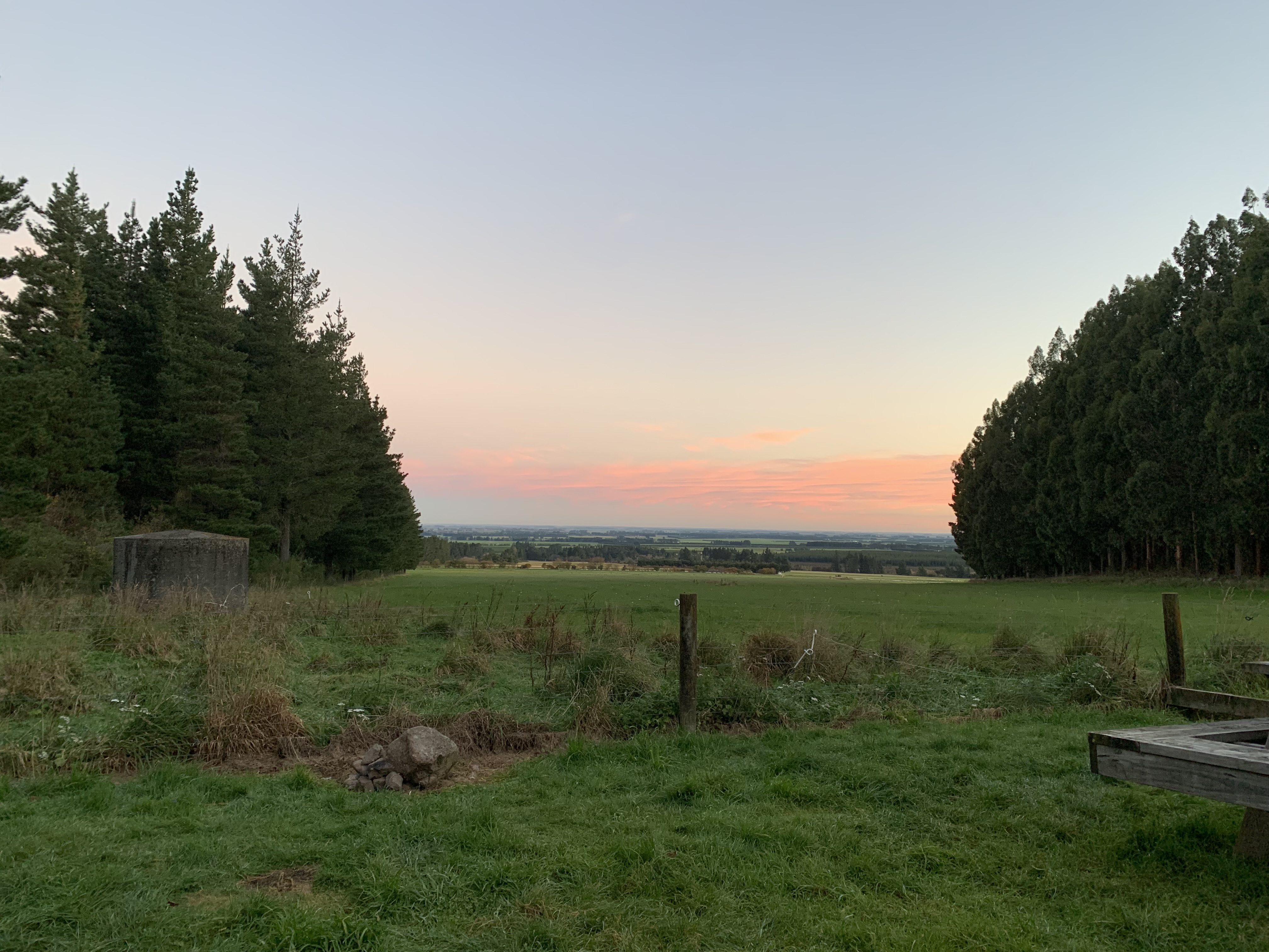 Wooded Gully Campsite image 2