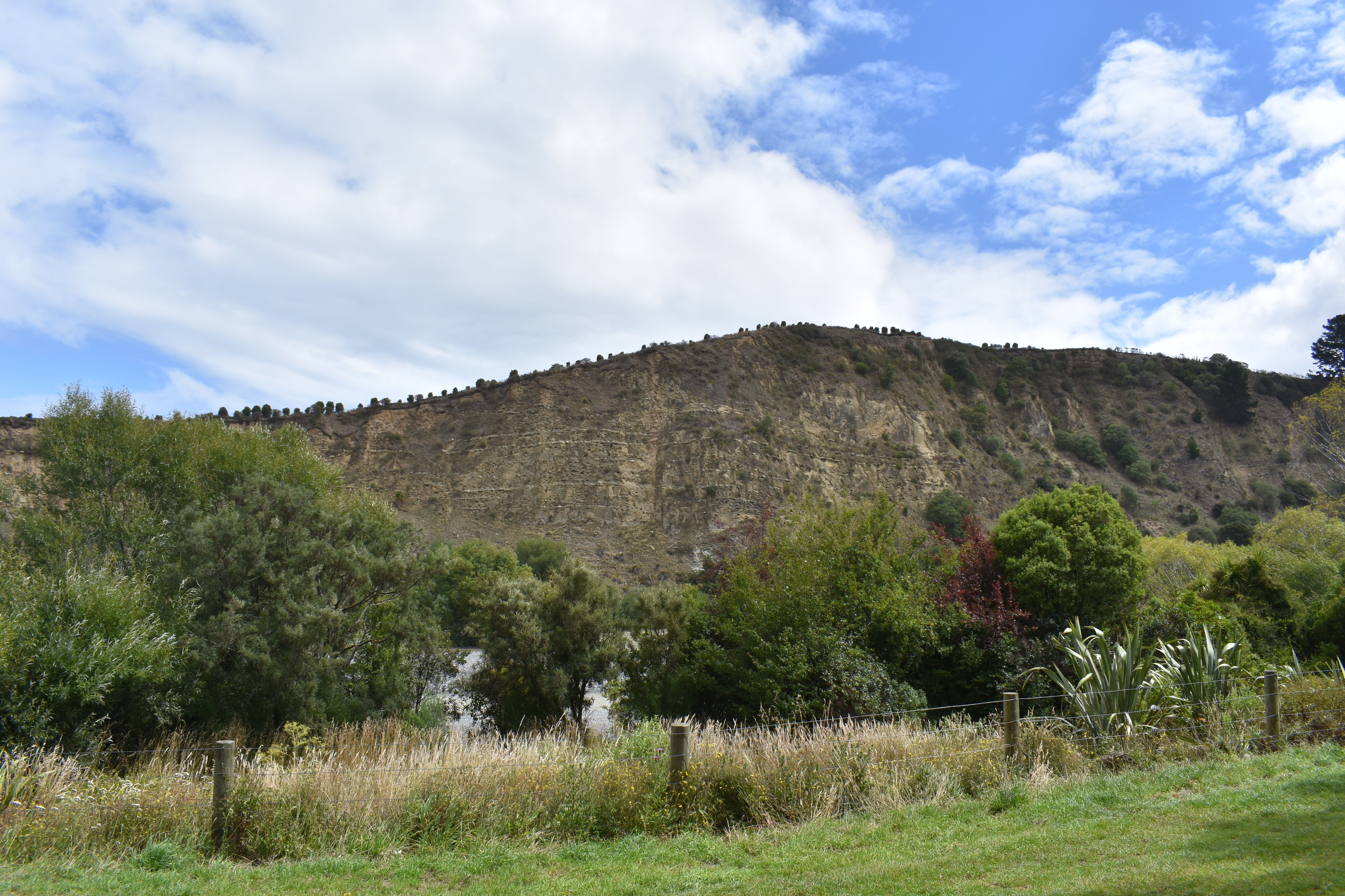 Hurunui River Mouth Reserve Camping Ground image 2