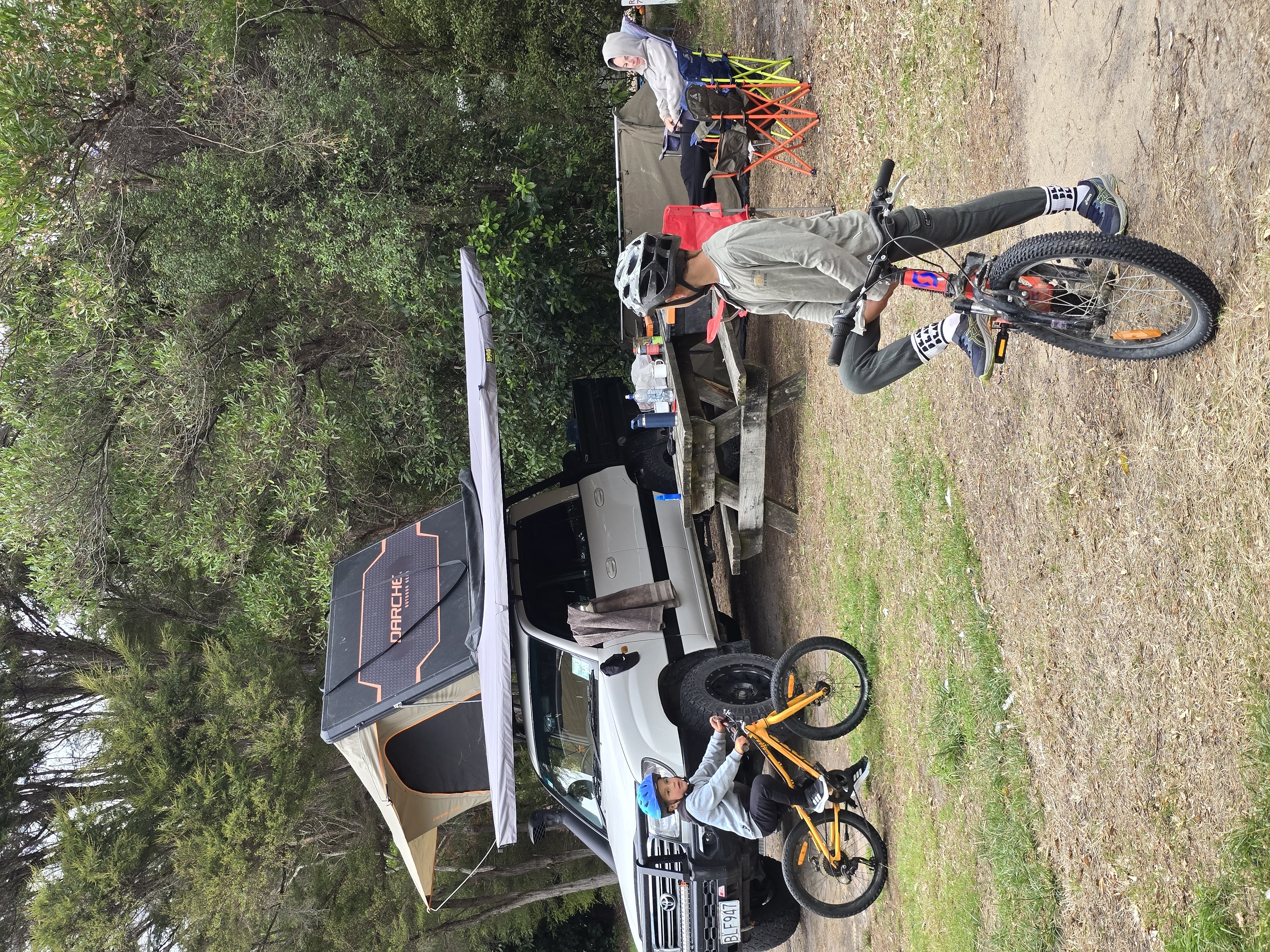 Totaranui Campground image 2