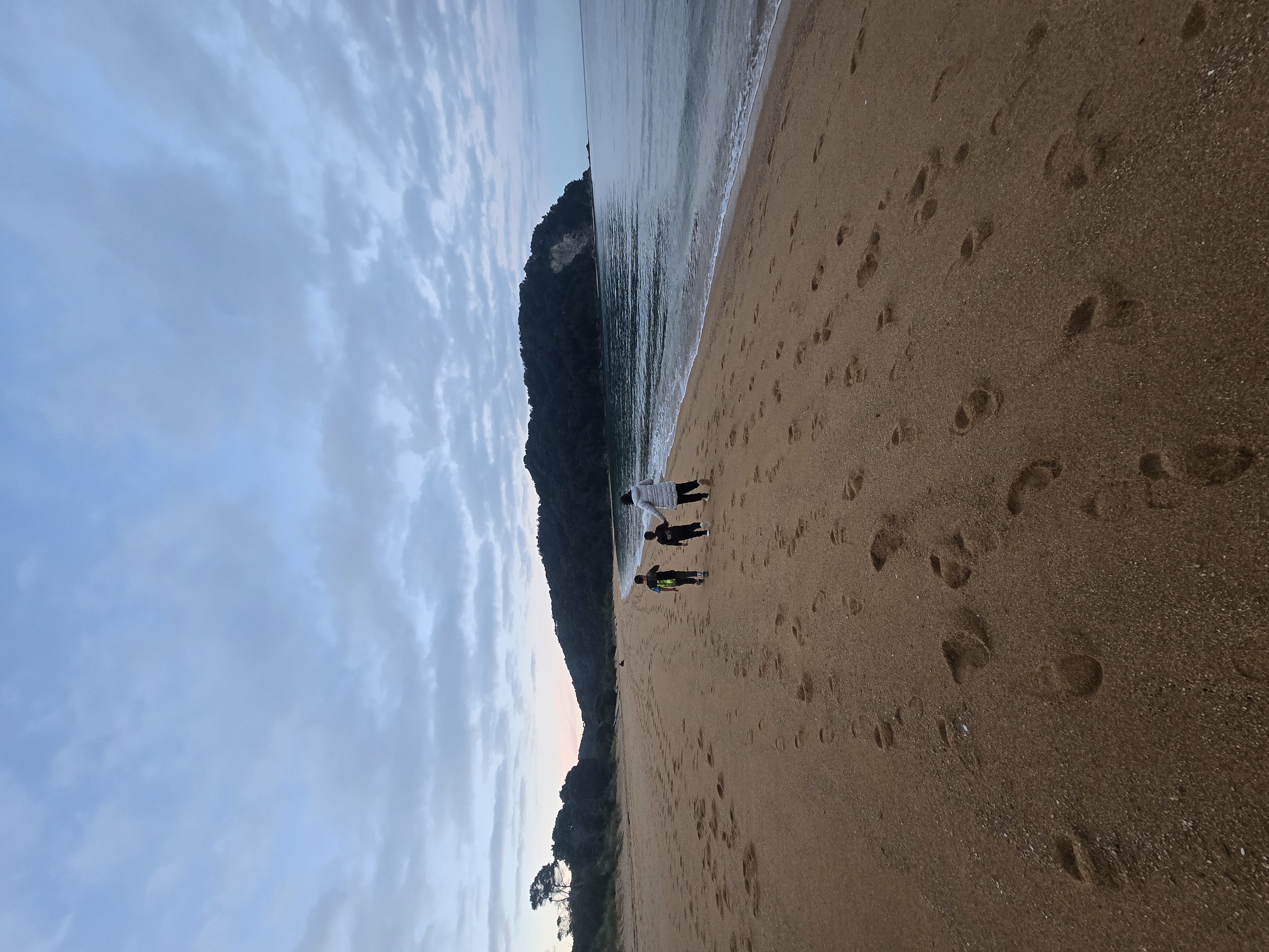 Totaranui Campground image 1