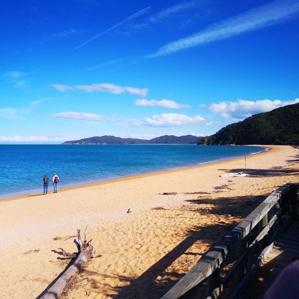 Totaranui Campground image 2