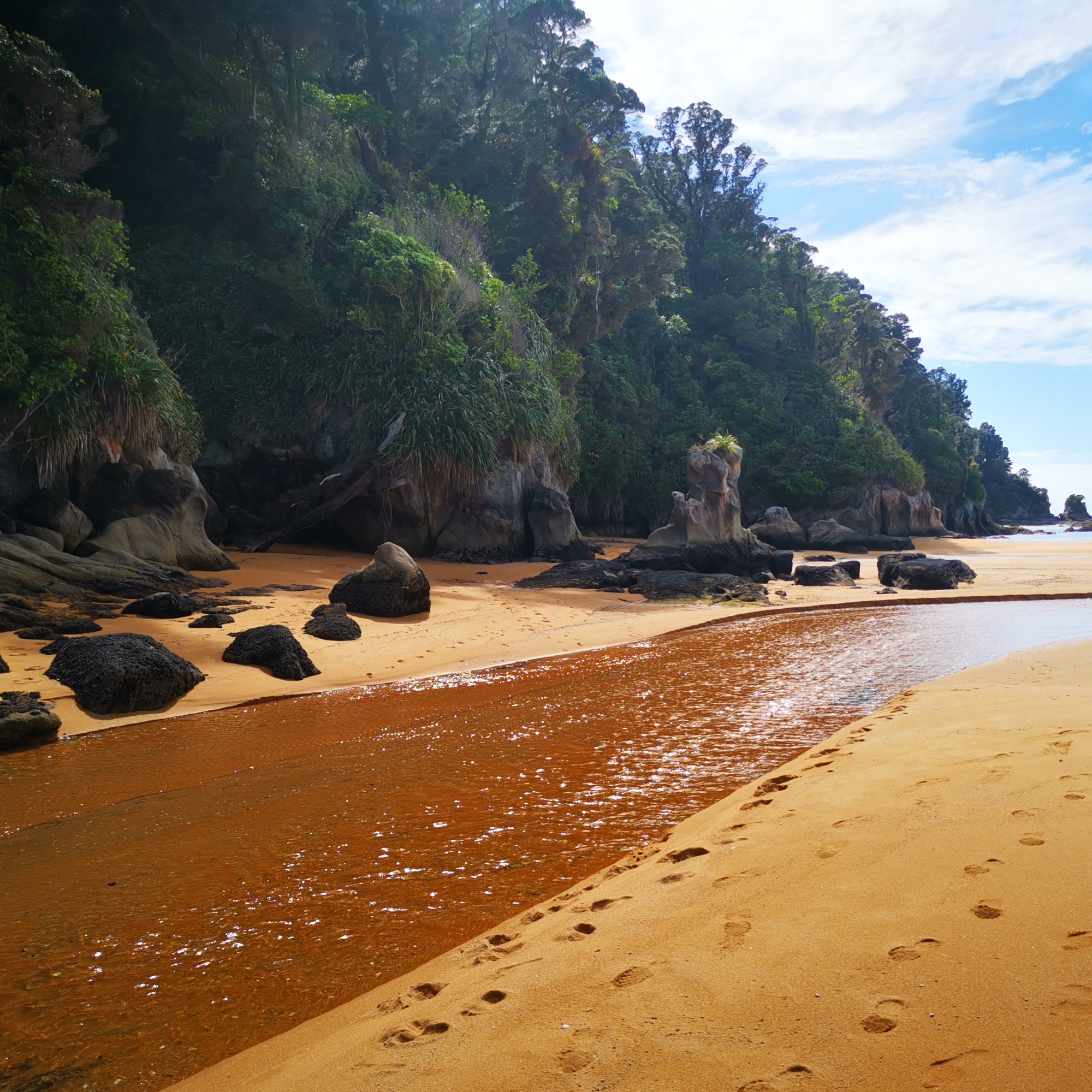 Totaranui Campground image 4