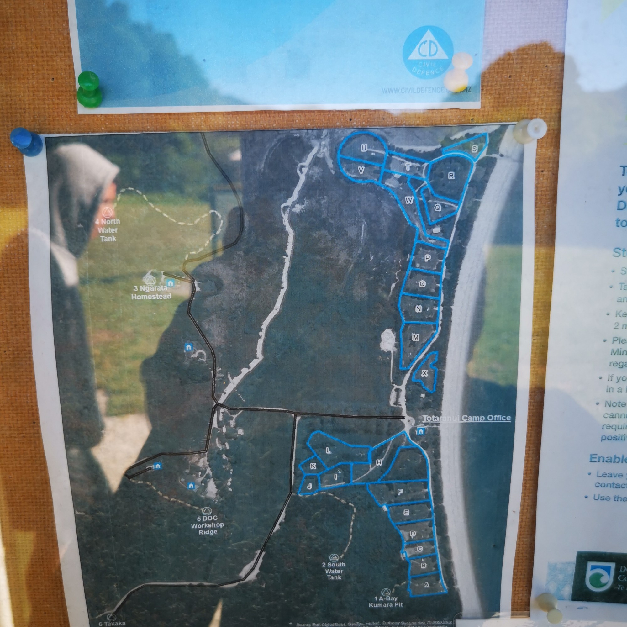 Totaranui Campground image 3