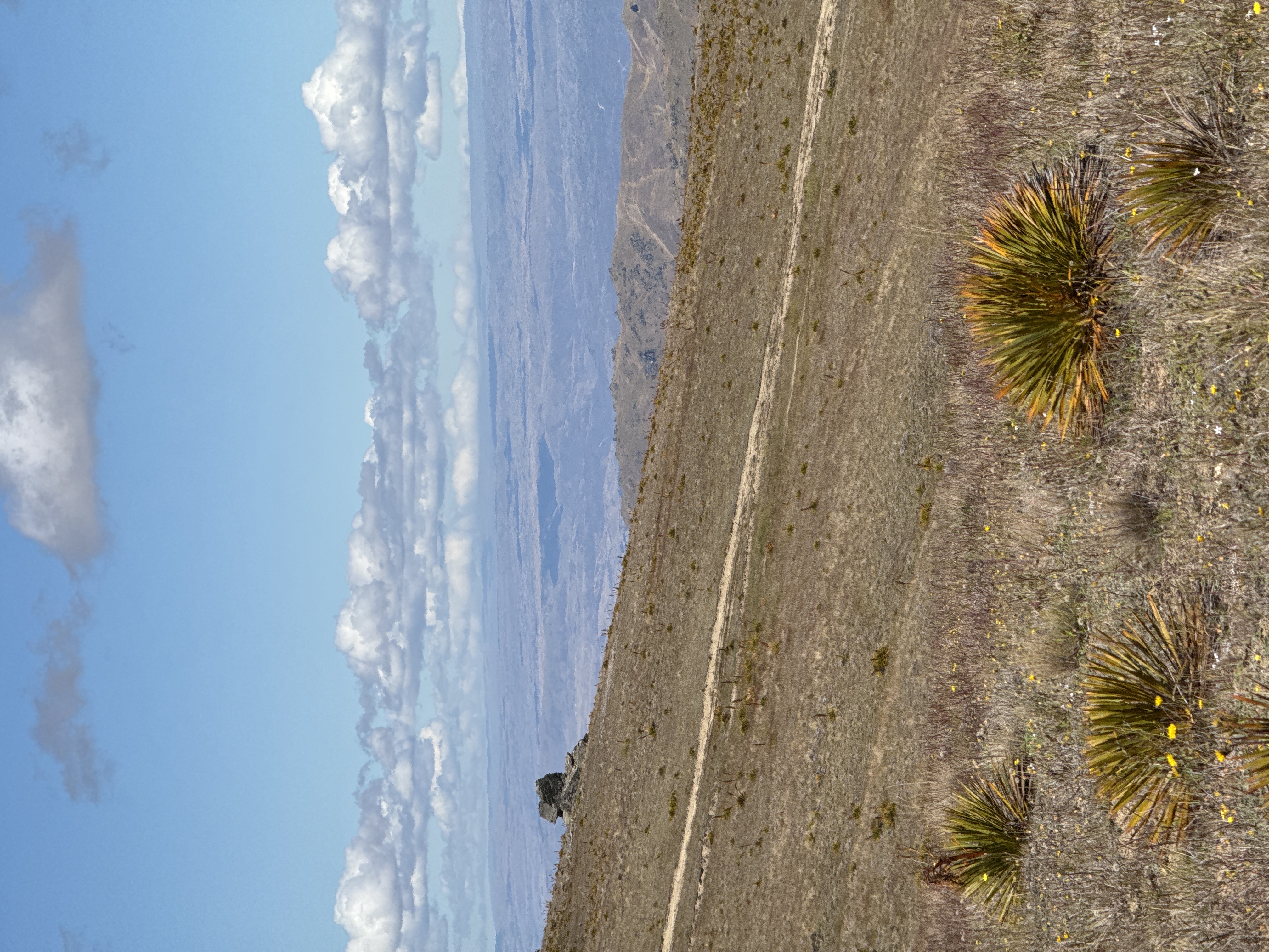 Coal Pit Road image 4