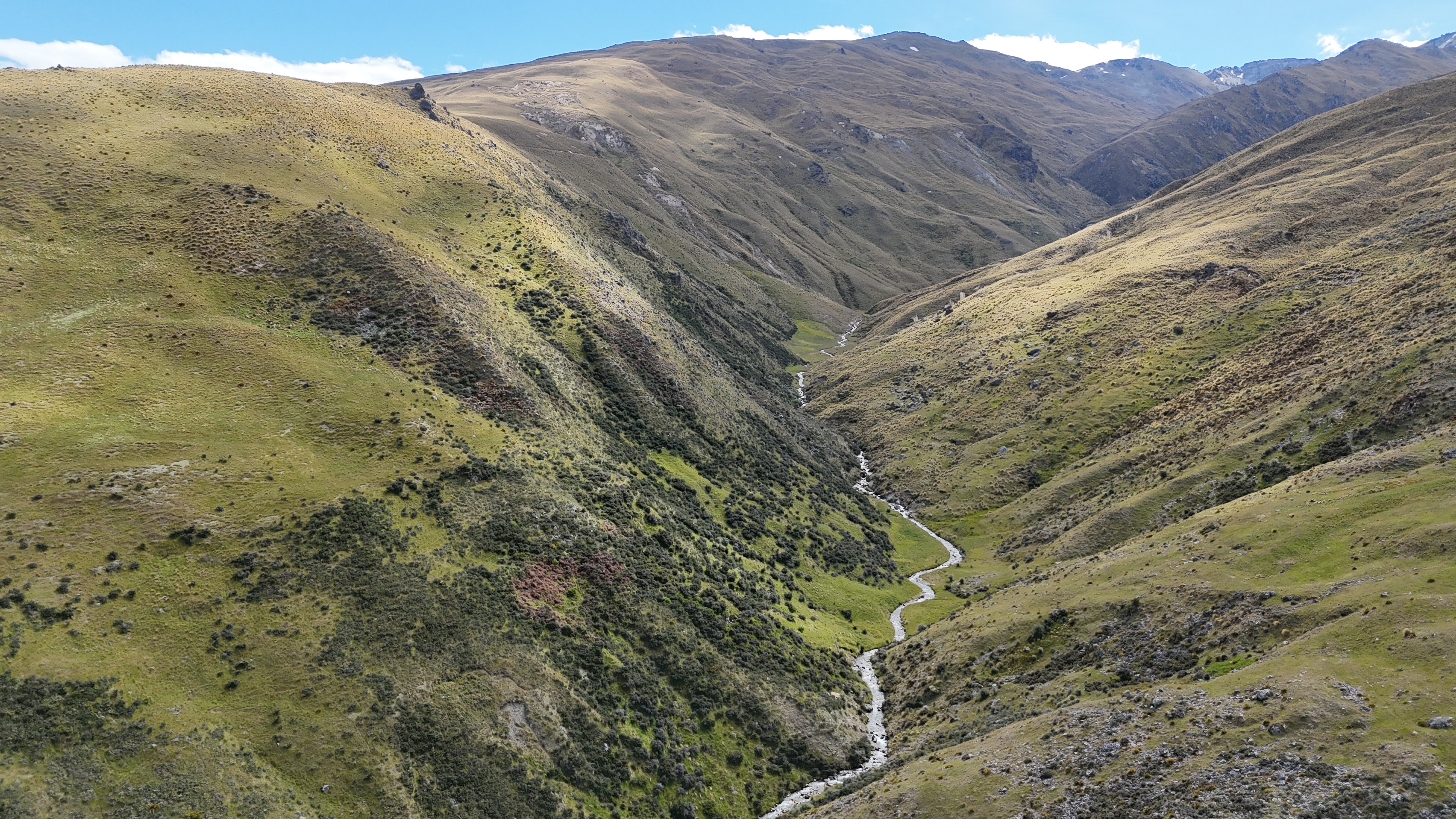 Nevis Valley image 2