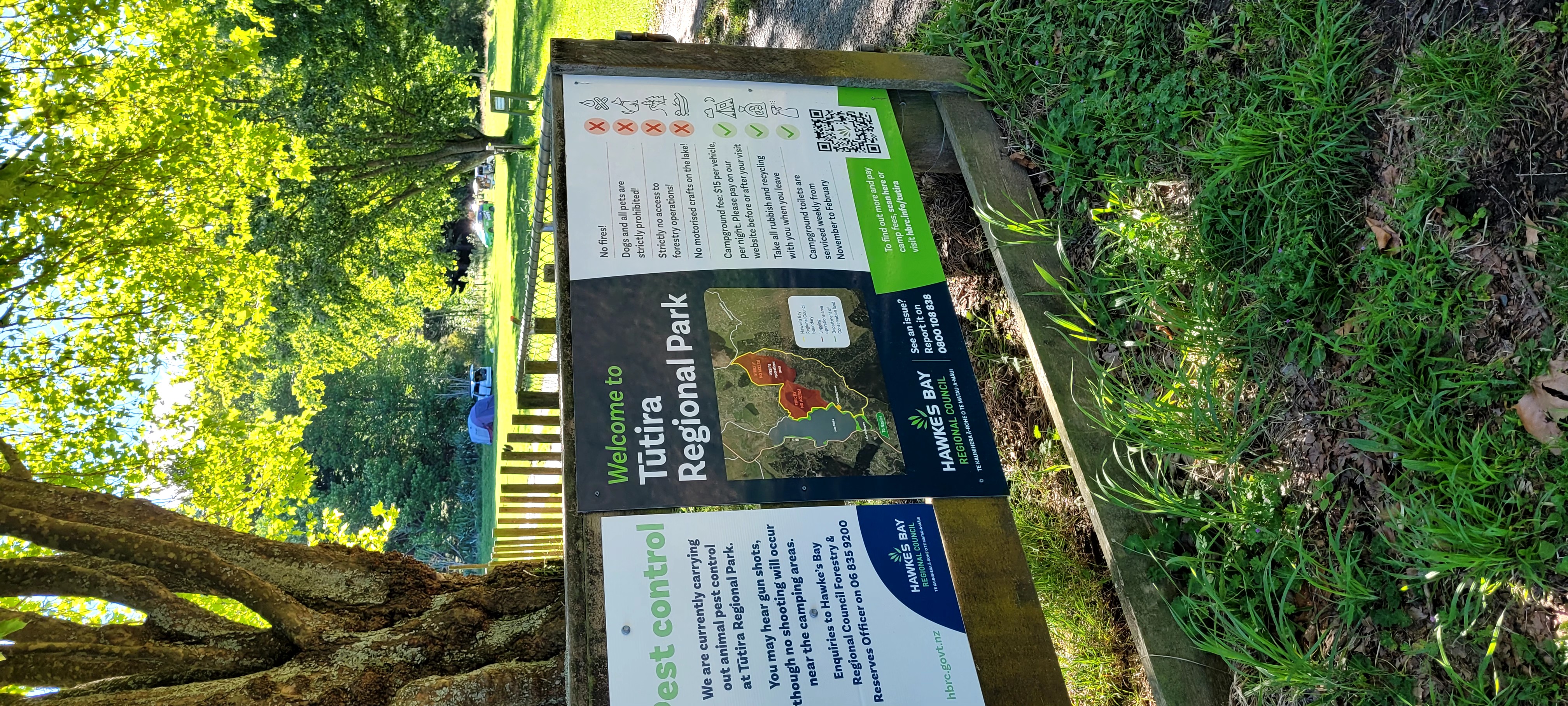 Lake Tutira Campsite image 8