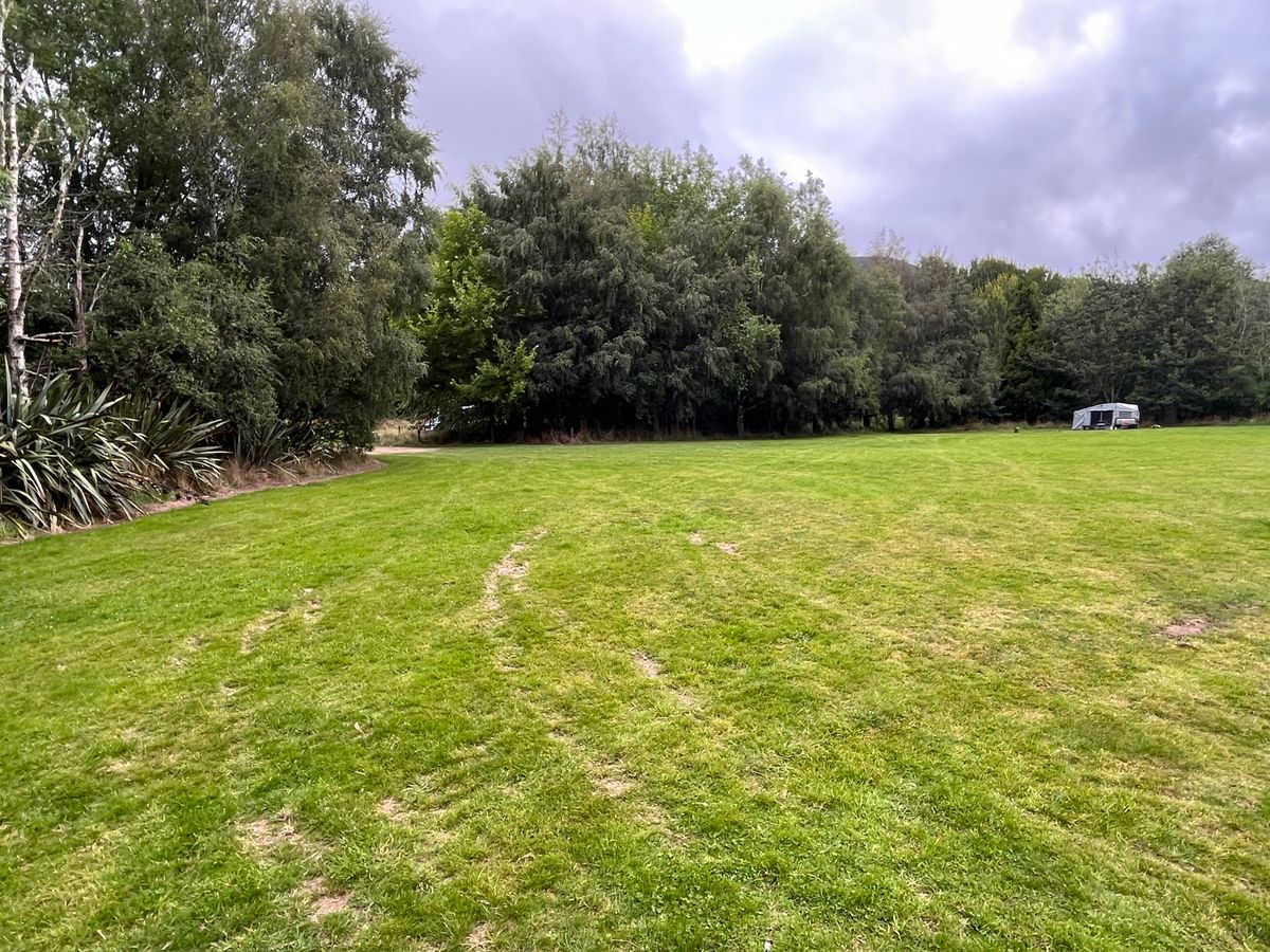 Tawanui Campsite image 1