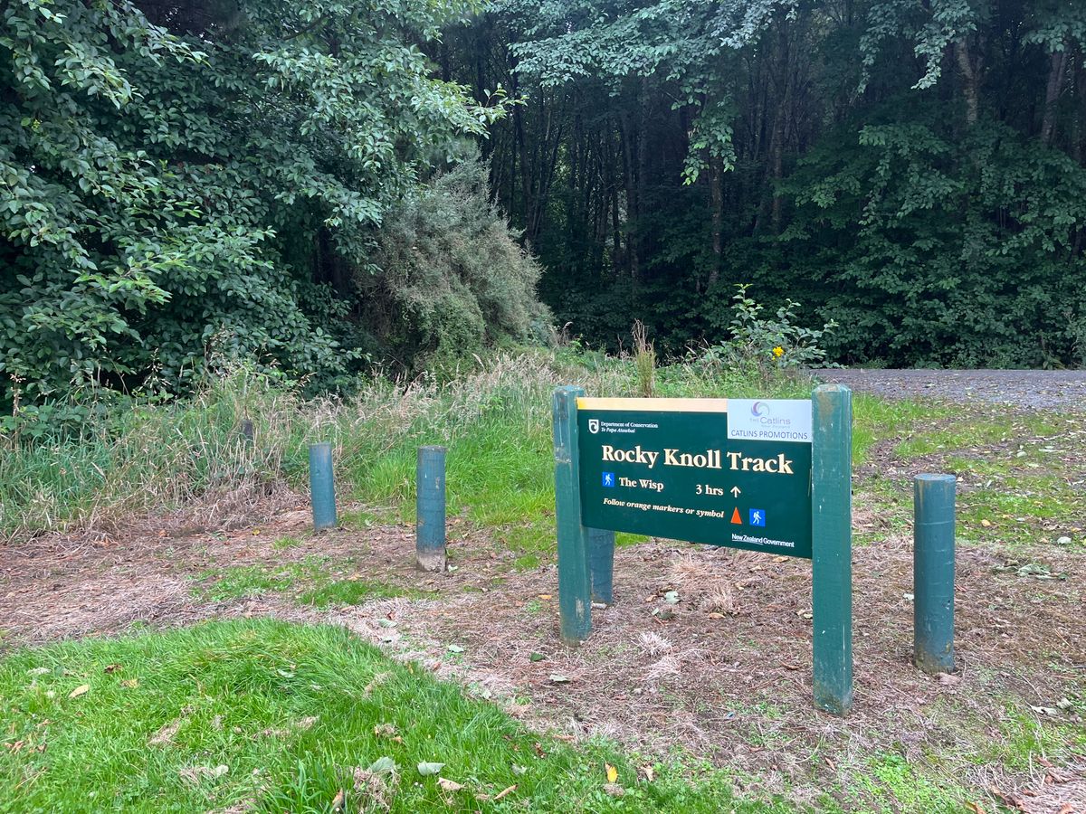 Tawanui Campsite image 4