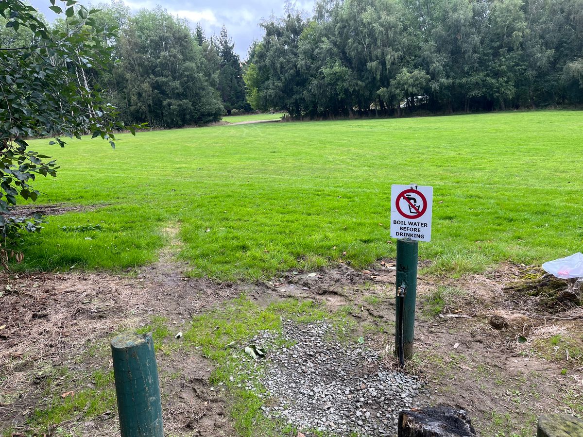 Tawanui Campsite image 2