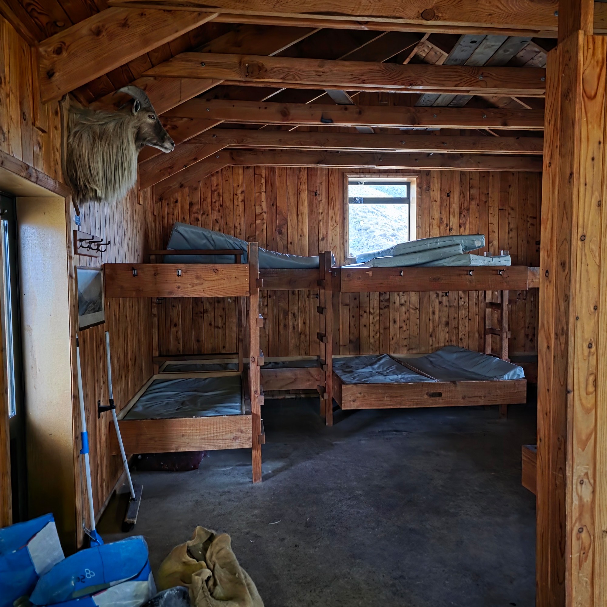 Macaulay Hut image 3