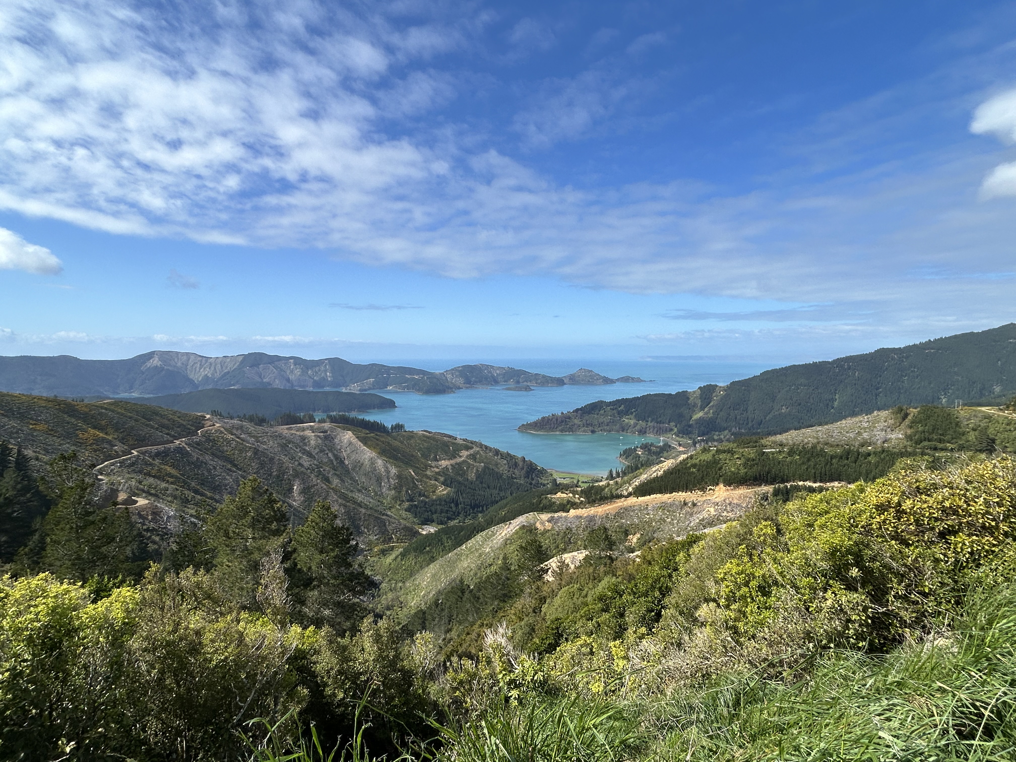 Port Underwood Road image 8