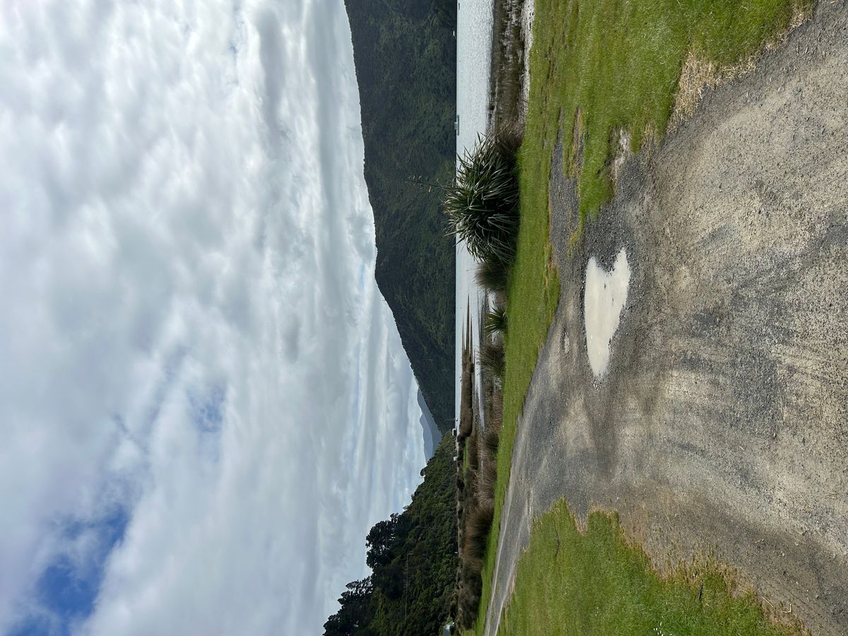 Whatamango Bay Campsite image 5