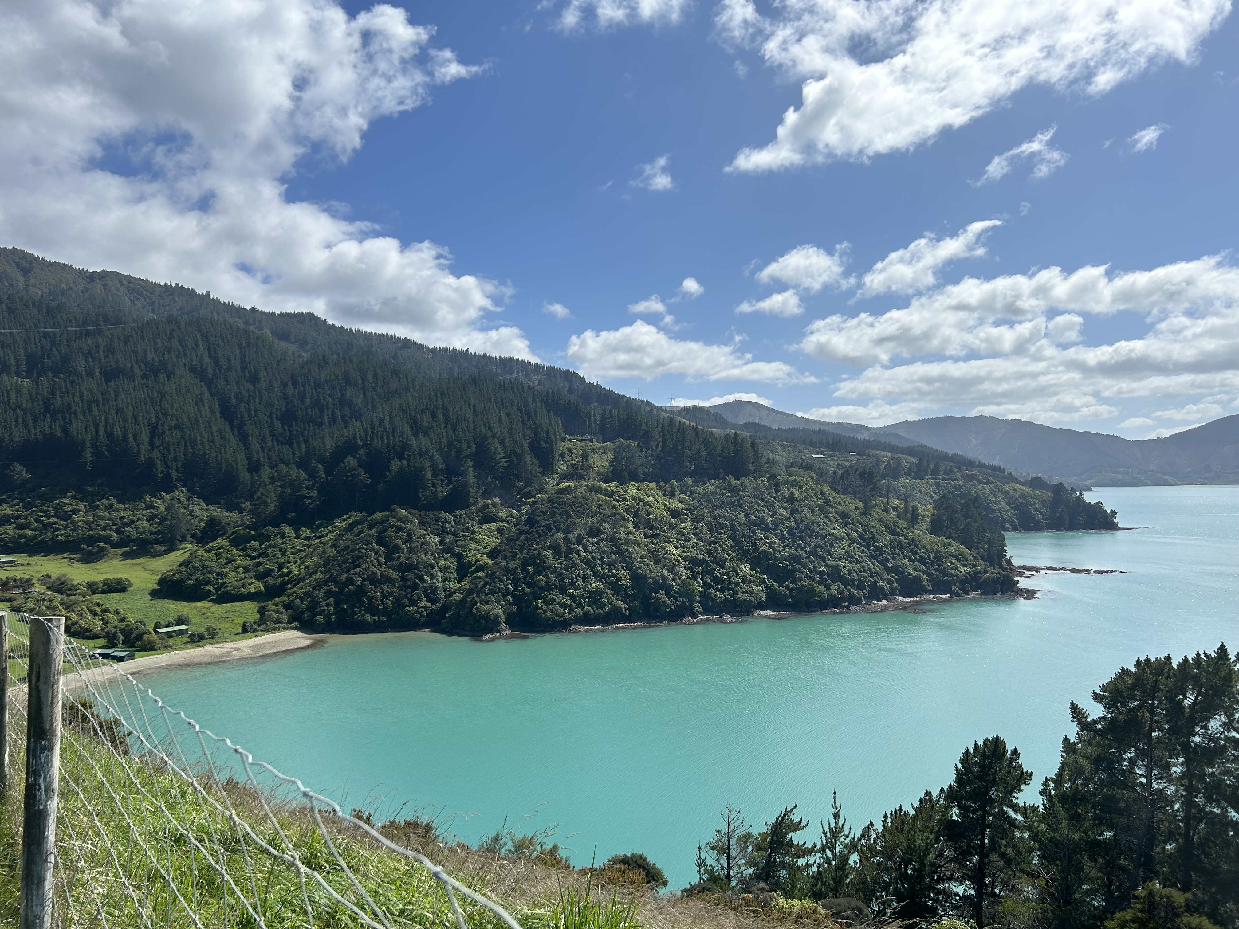 Port Underwood Road image 6