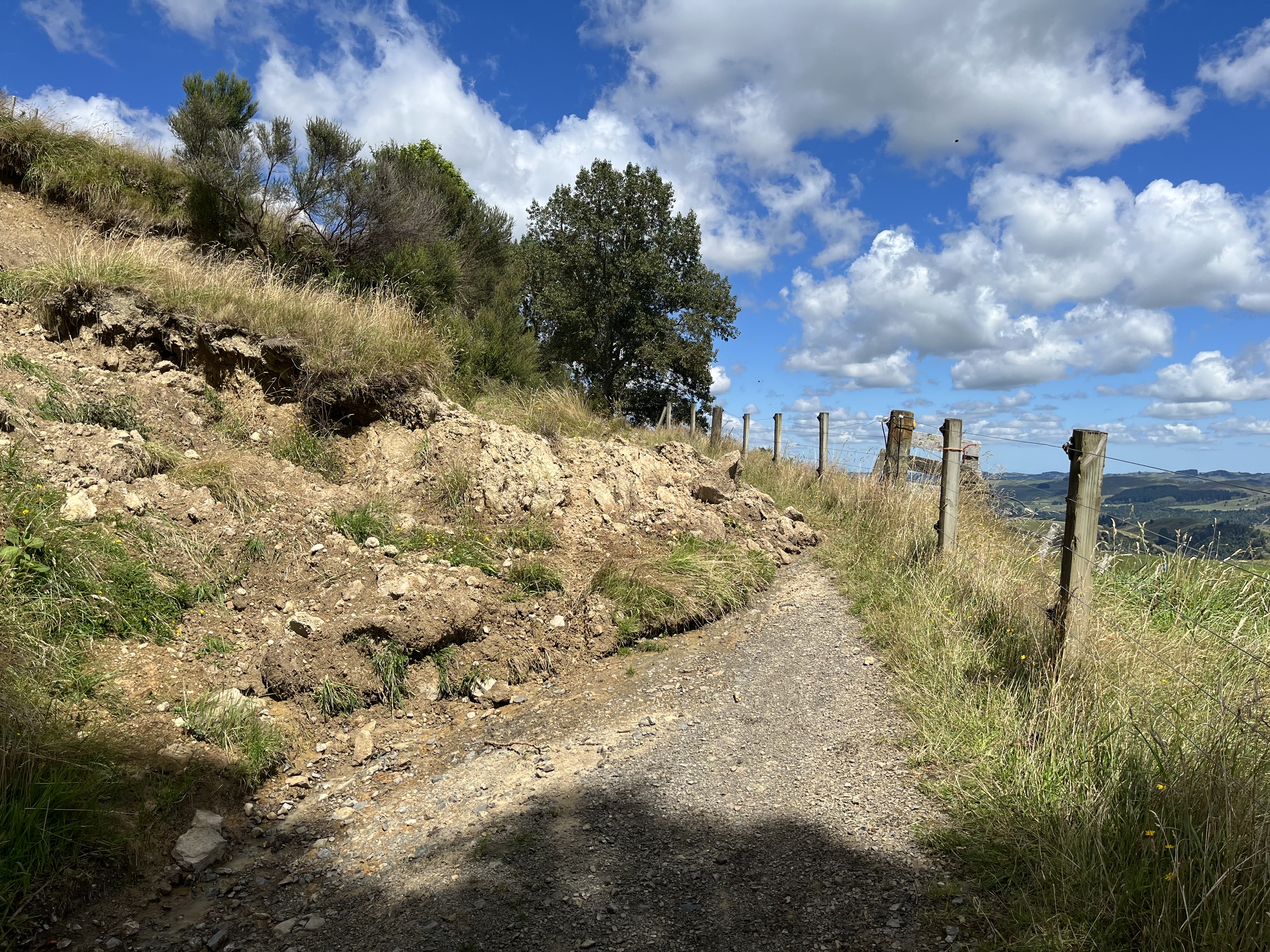 Takapari Road image 2