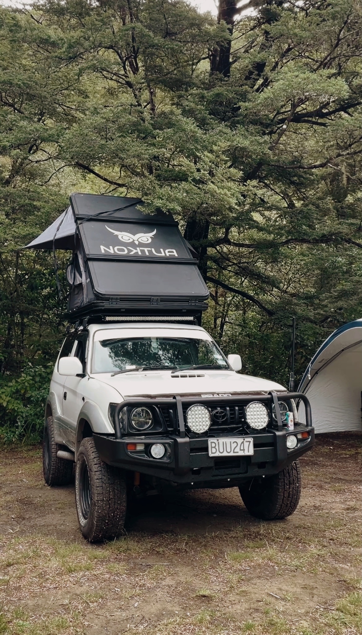 Mill Flat Campsite image 1