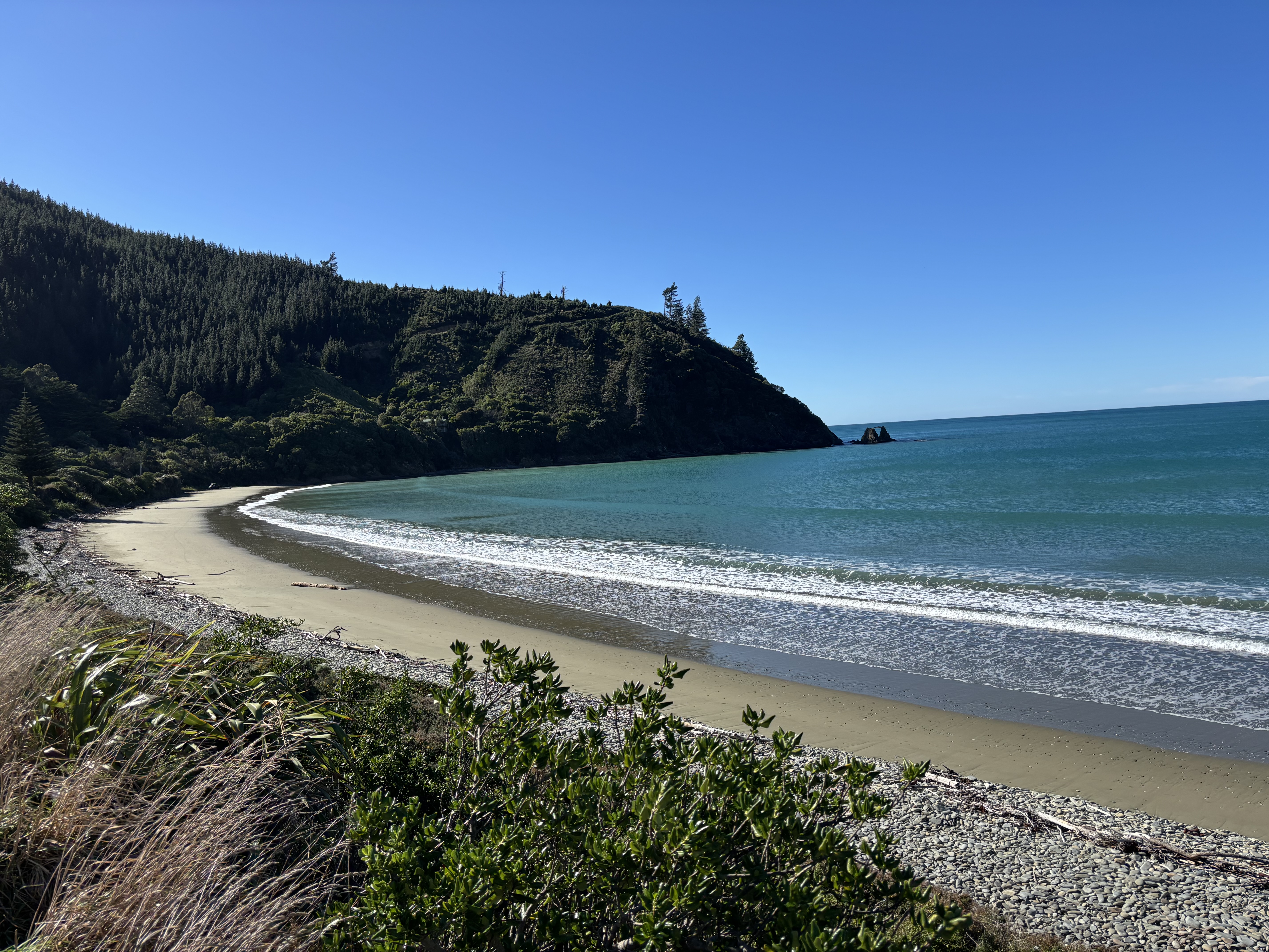 Port Underwood Road image 4