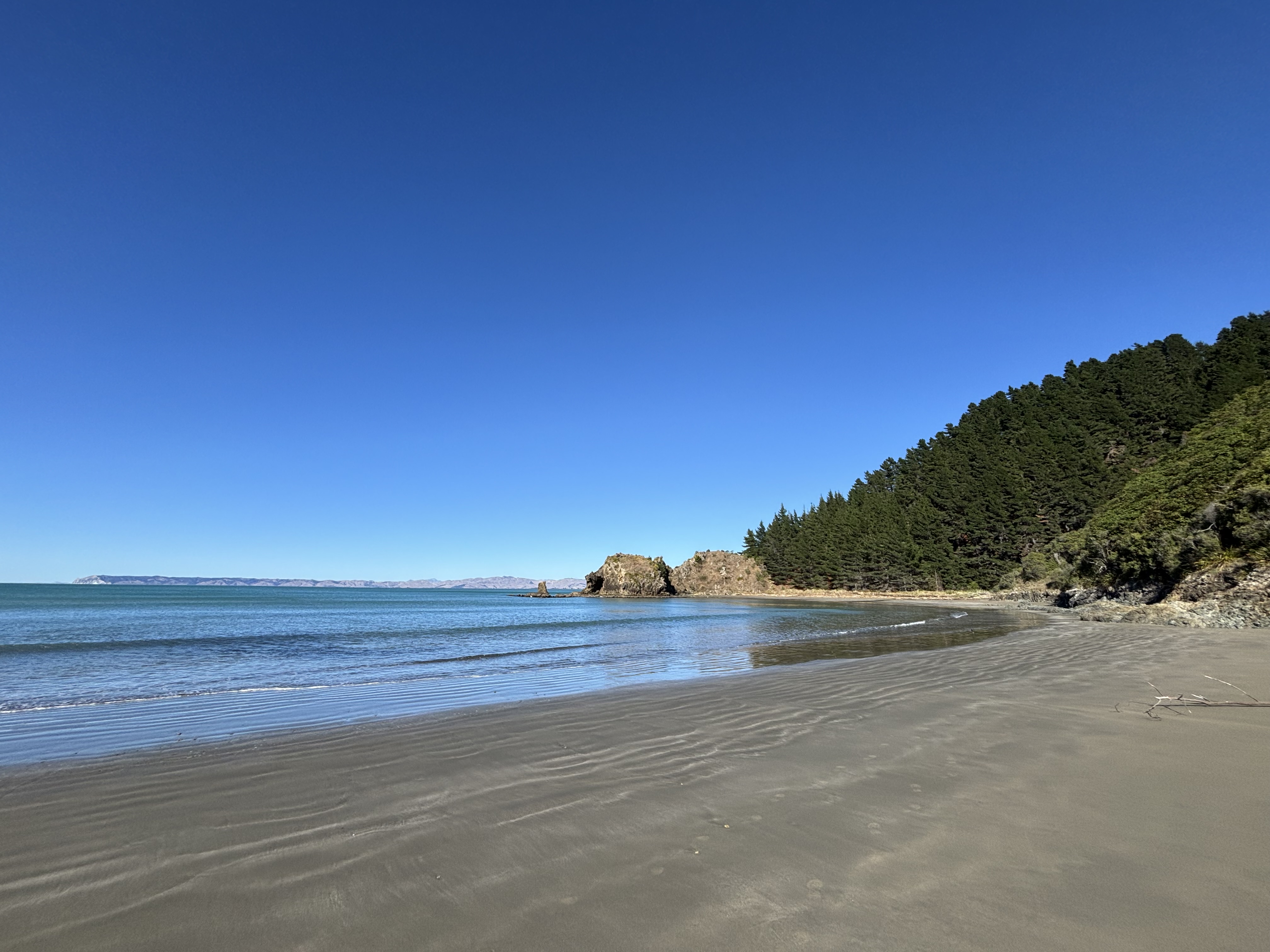 Port Underwood Road image 5