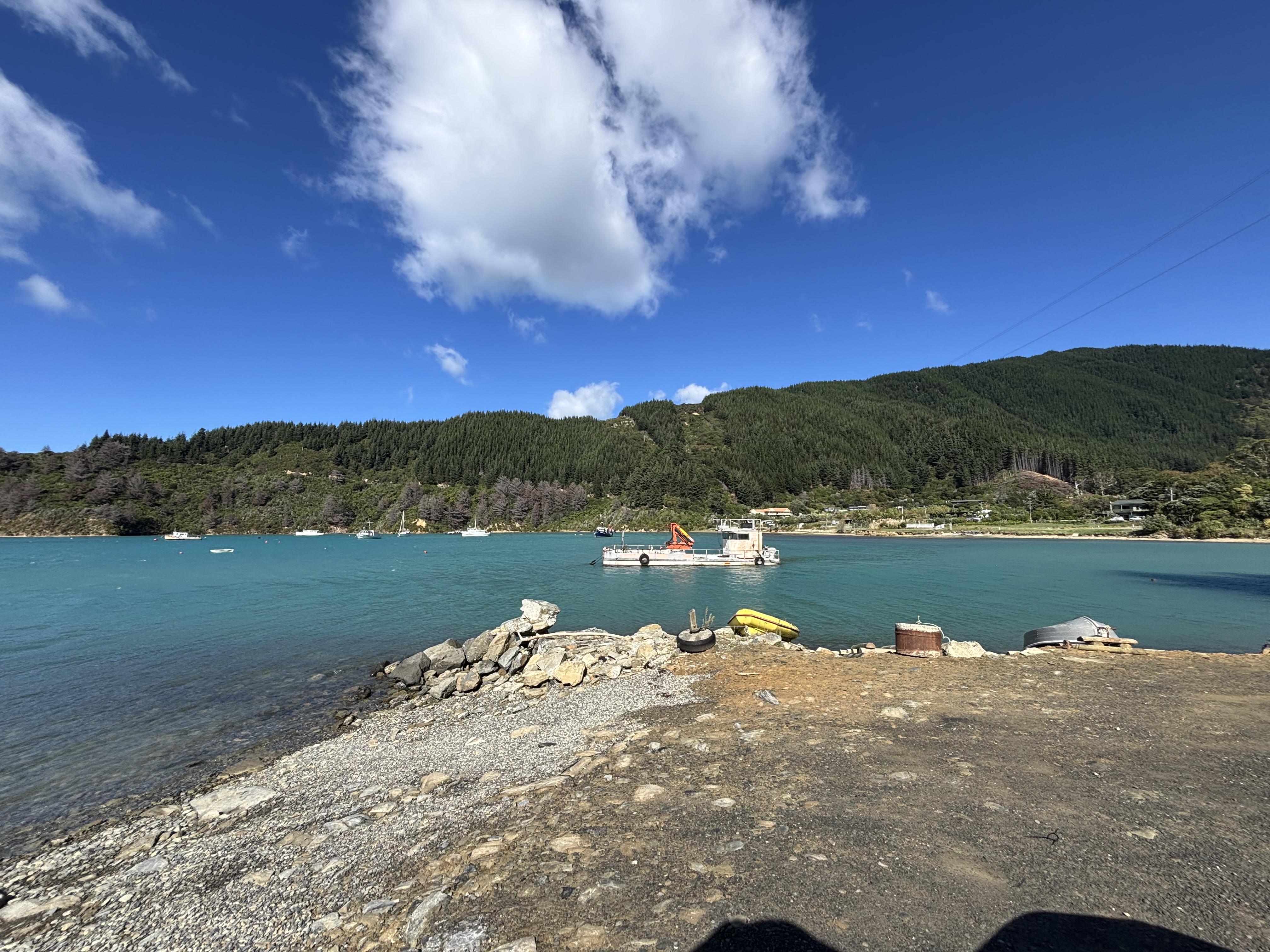 Port Underwood Road image 2
