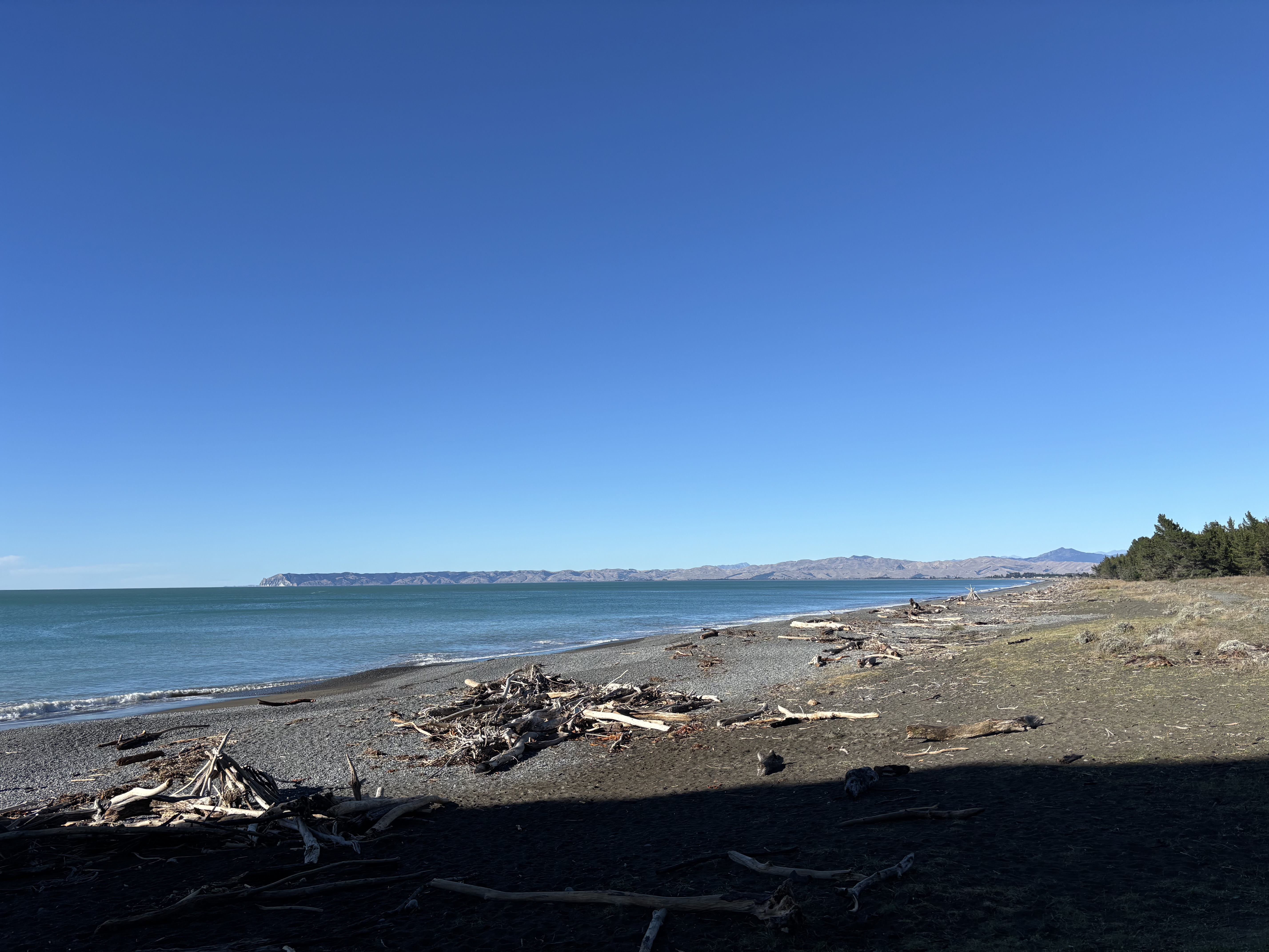 Port Underwood Road image 1