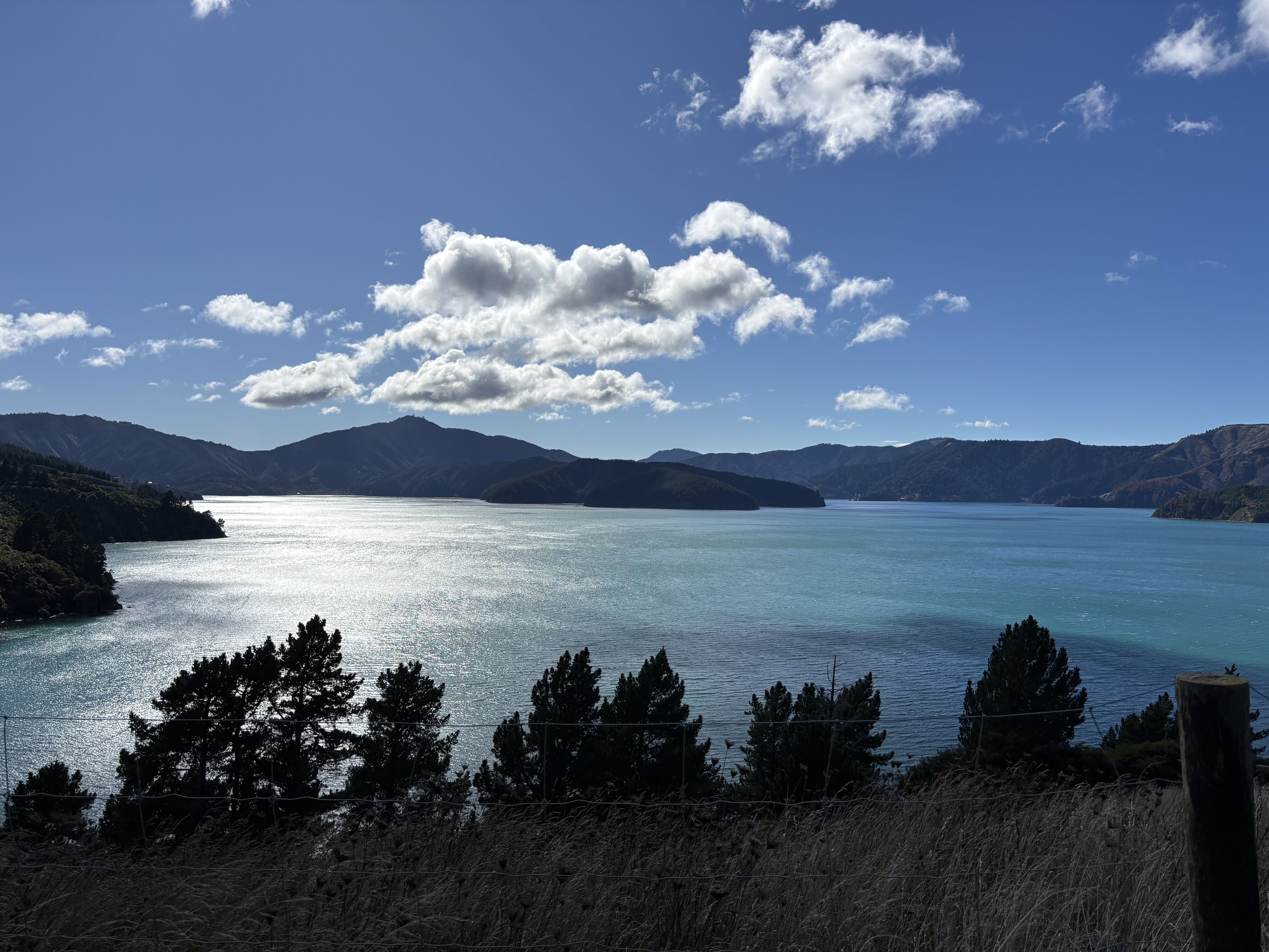 Port Underwood Road image 3